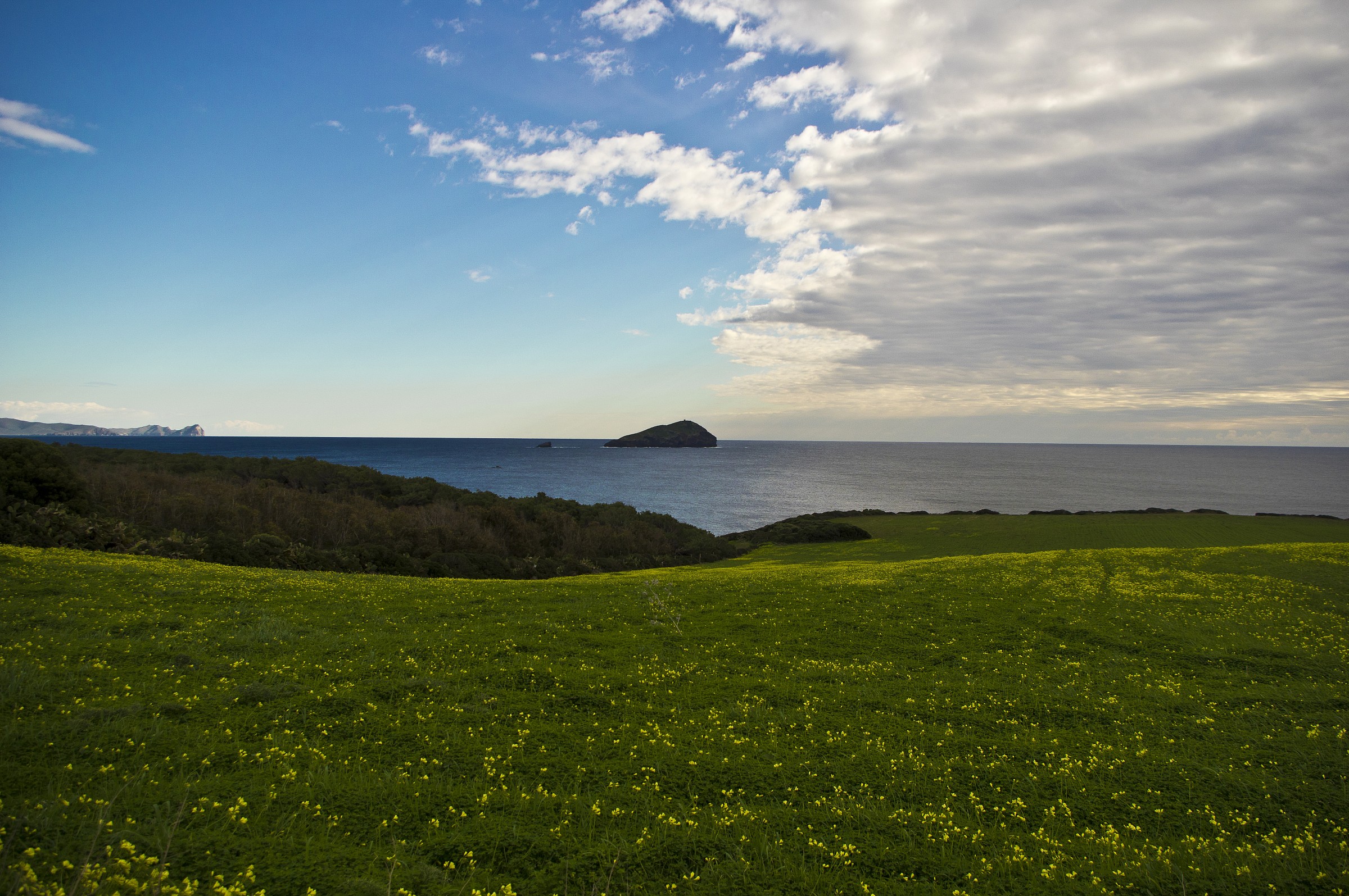 the island of the cow