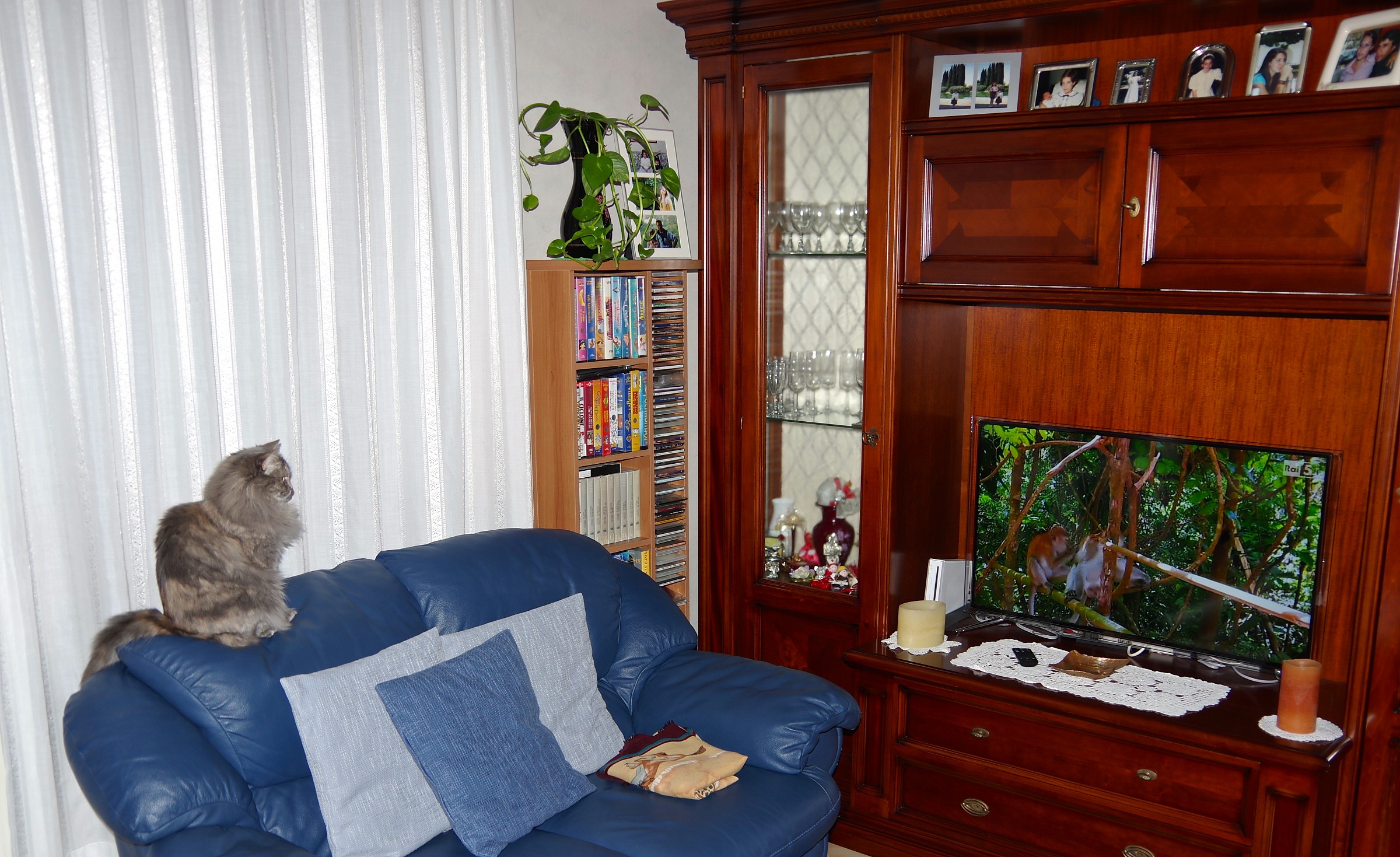 try changing the channel .....