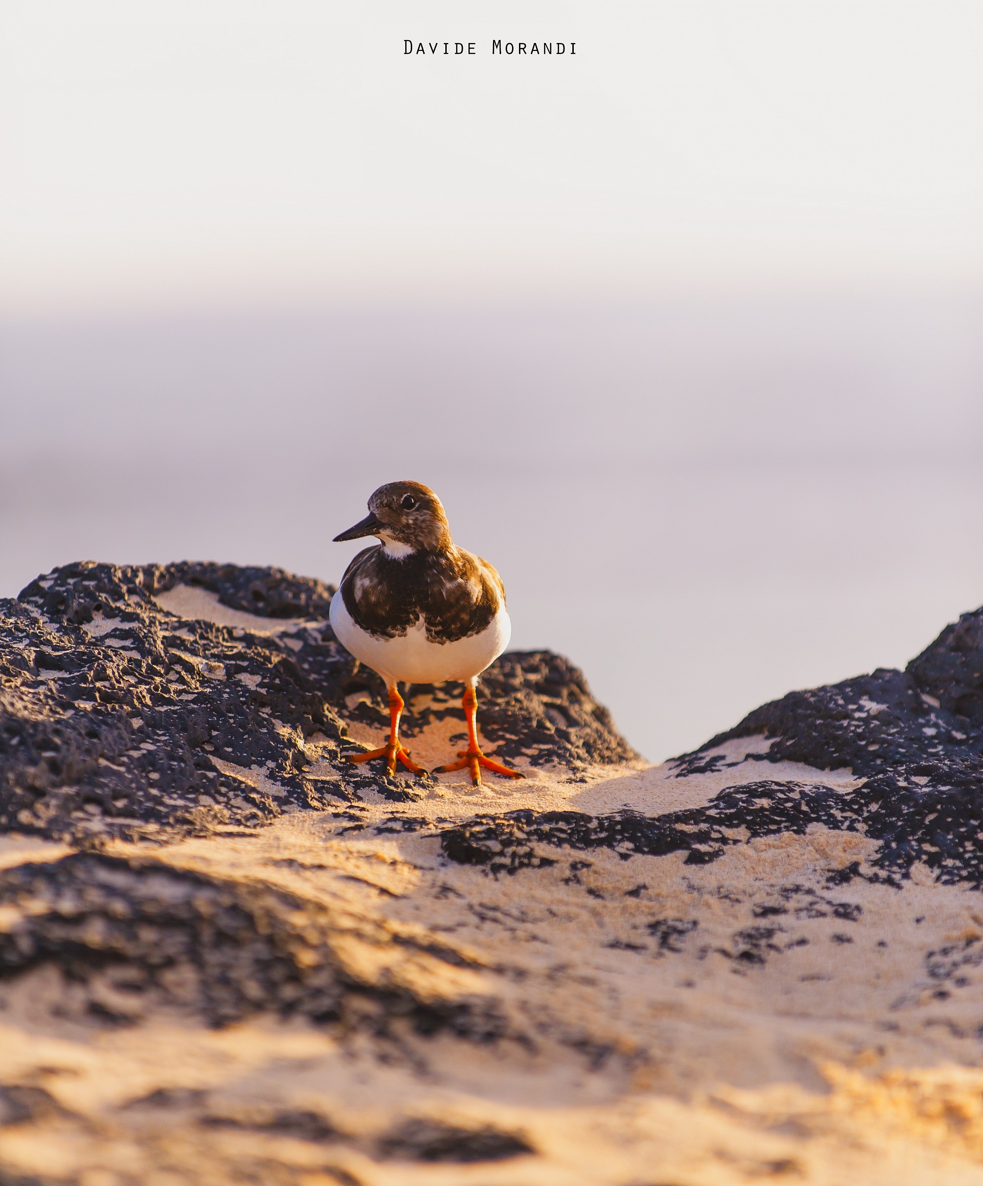 Ti piace la mia silhouette??