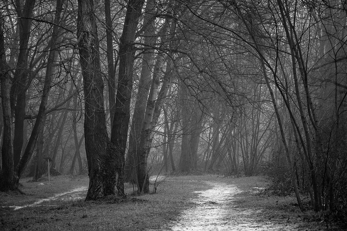 Camminando verso la porta del tempo..