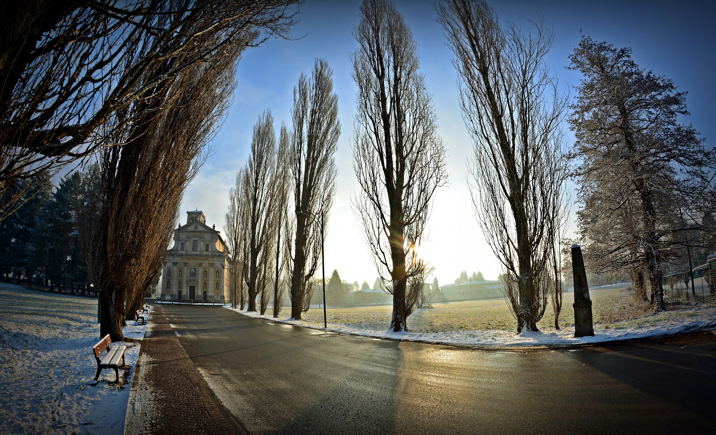 Awakening White Fish