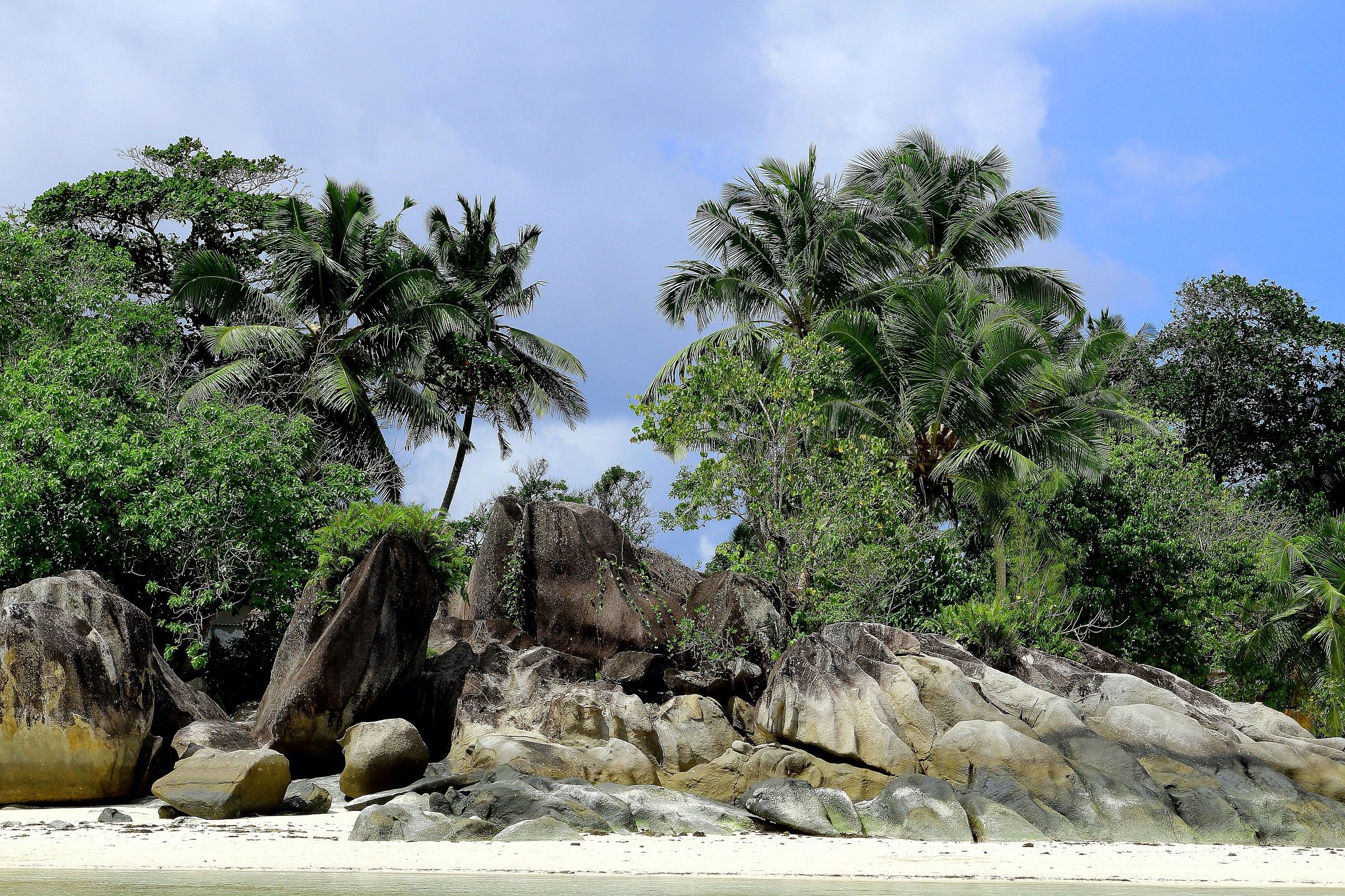 Seychelles landscape