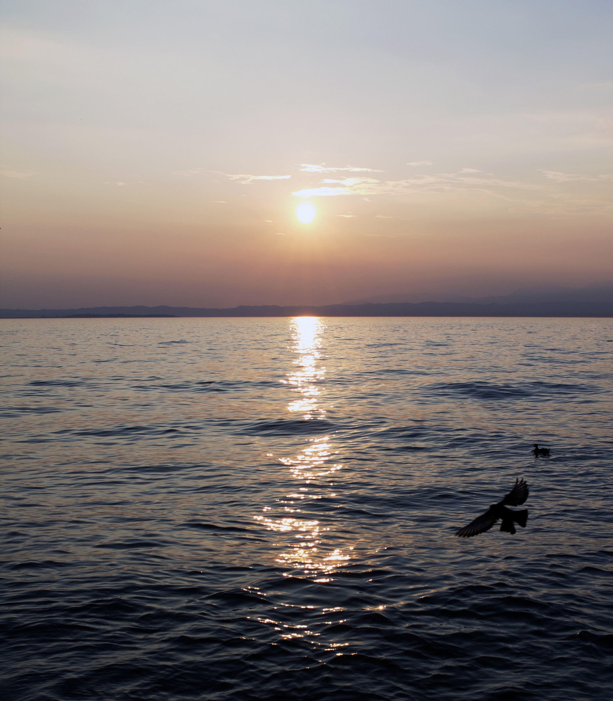 Sunset on the Lake - Lazise (vr)