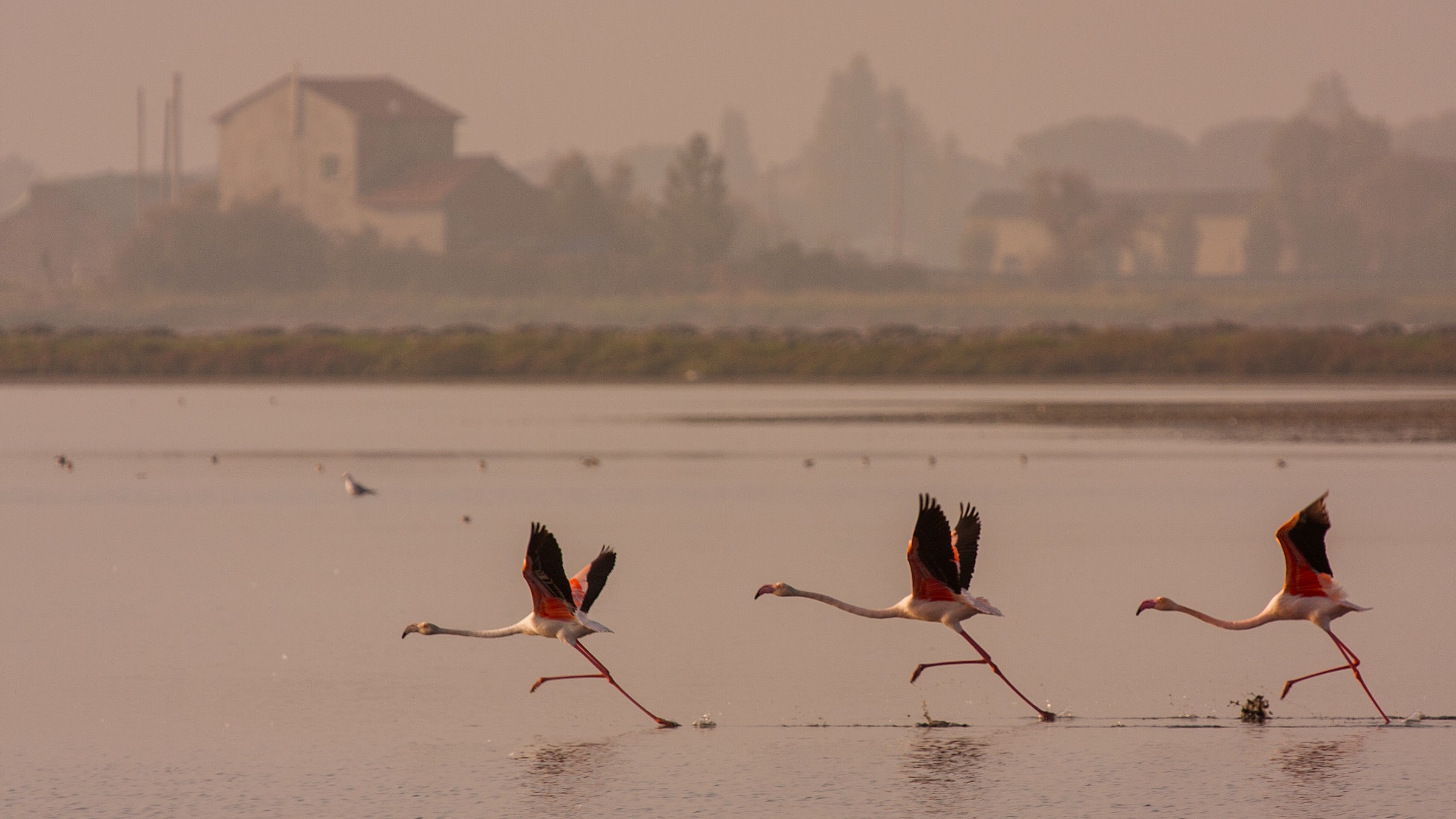 1..2..3..decolloo !!