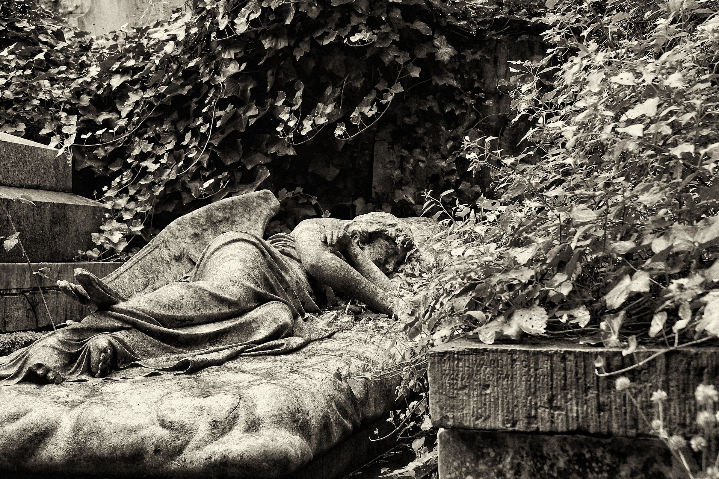 Fallen angels in a dream