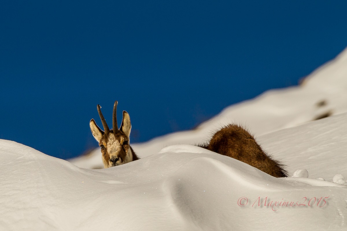 .. ti vedo..non ti vedo ...