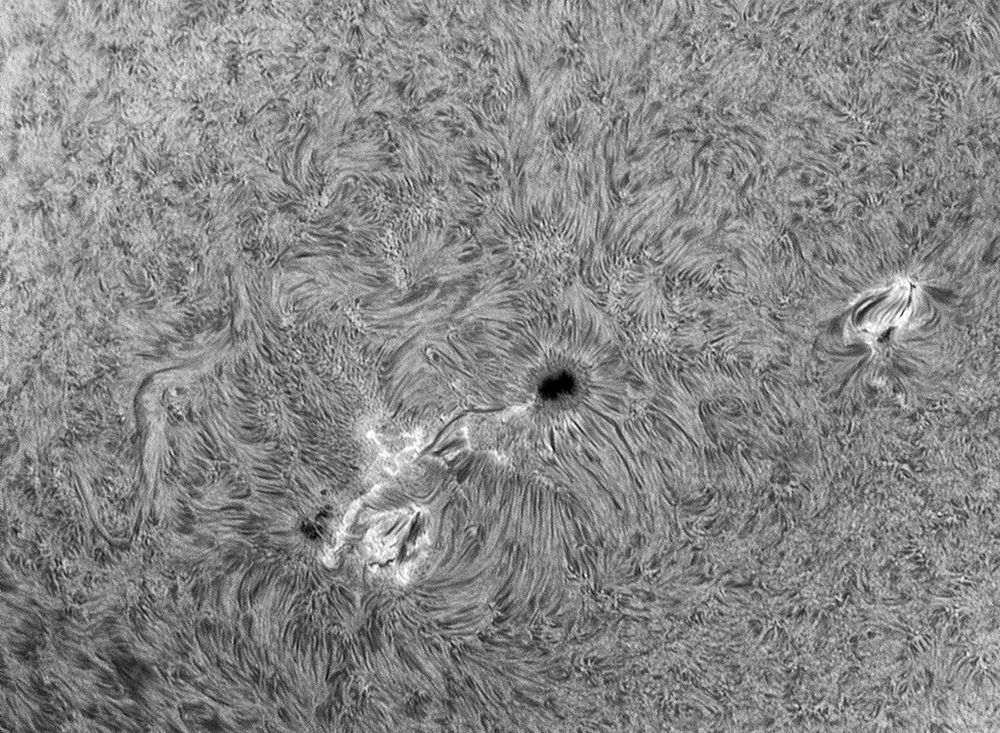 H-Alpha Sun January 26, 2015