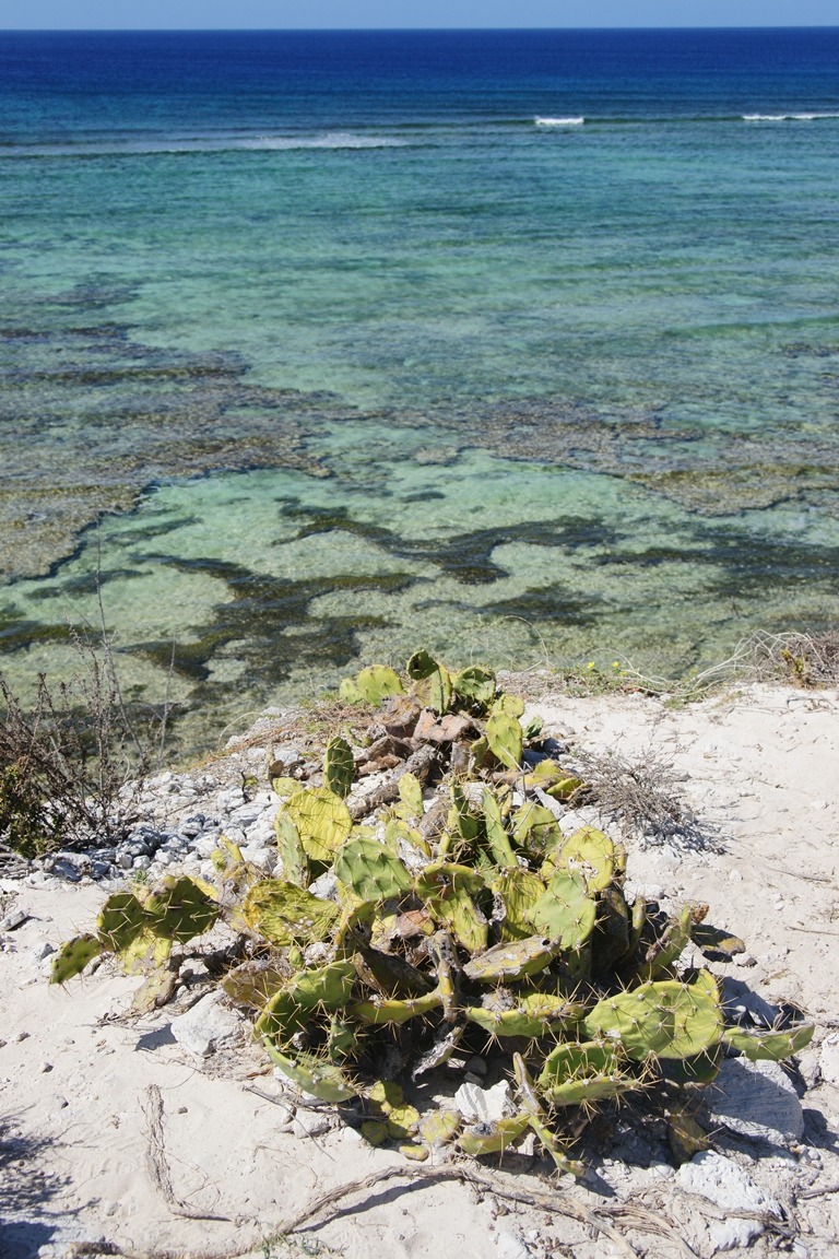 i colori delle Turks and Caicos