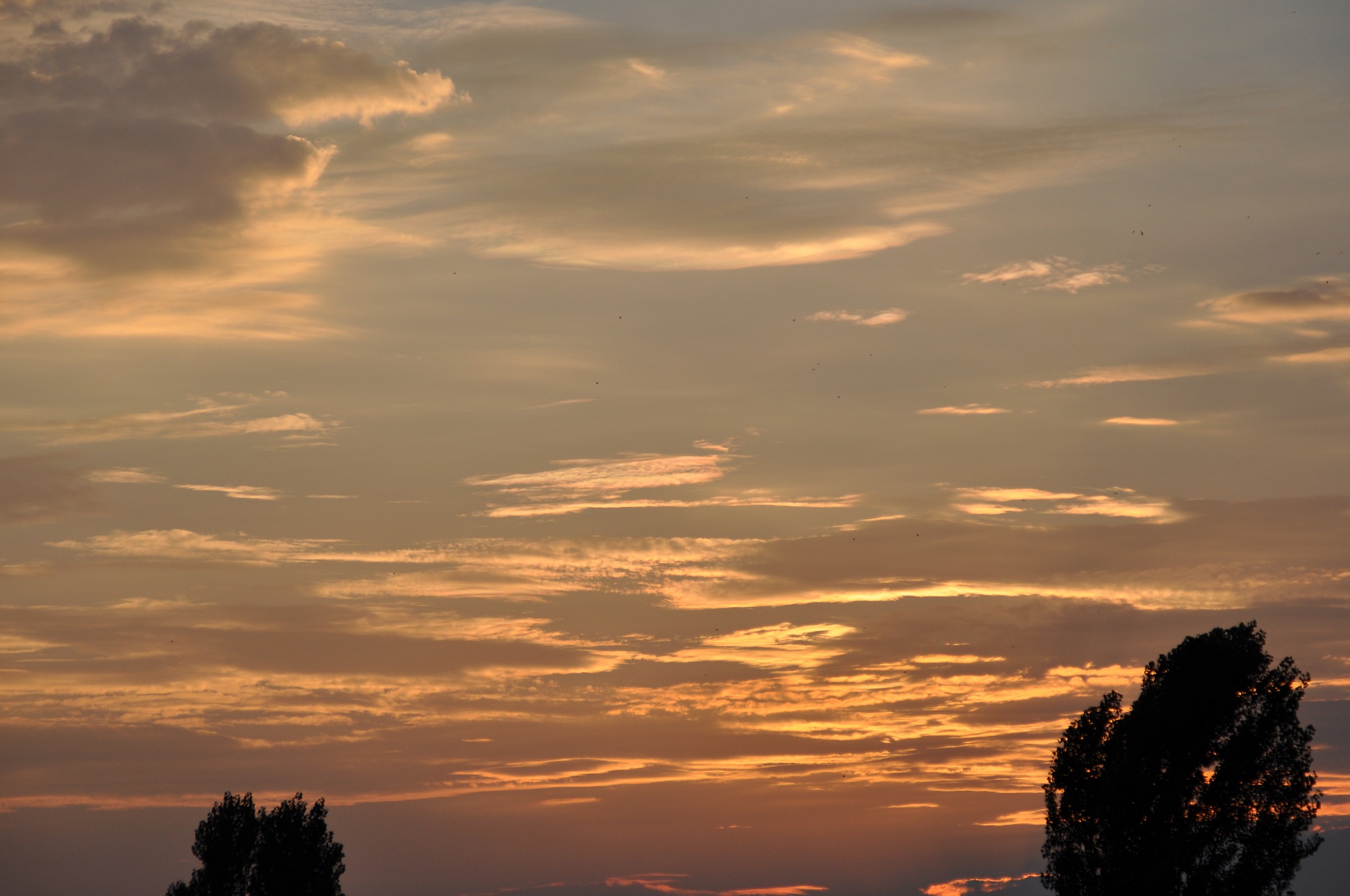 Peschiera Borromeo  Tramonto
