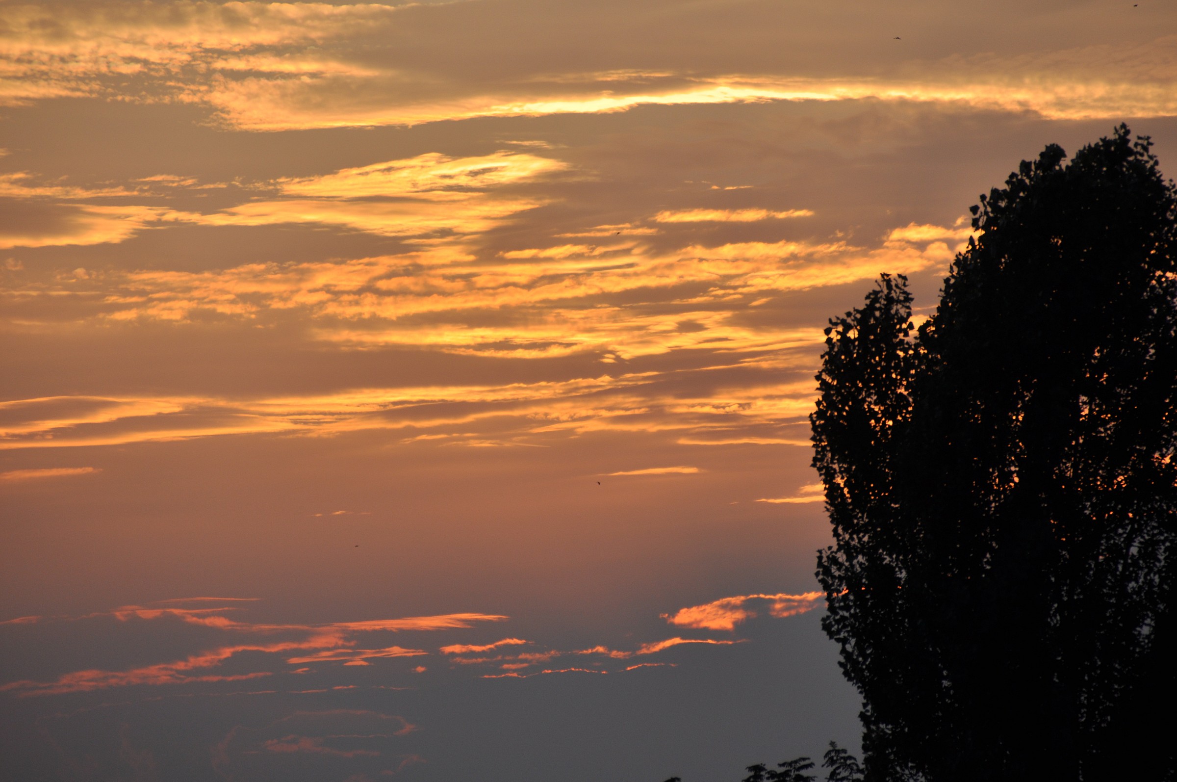 Peschiera Borromeo Tramonto