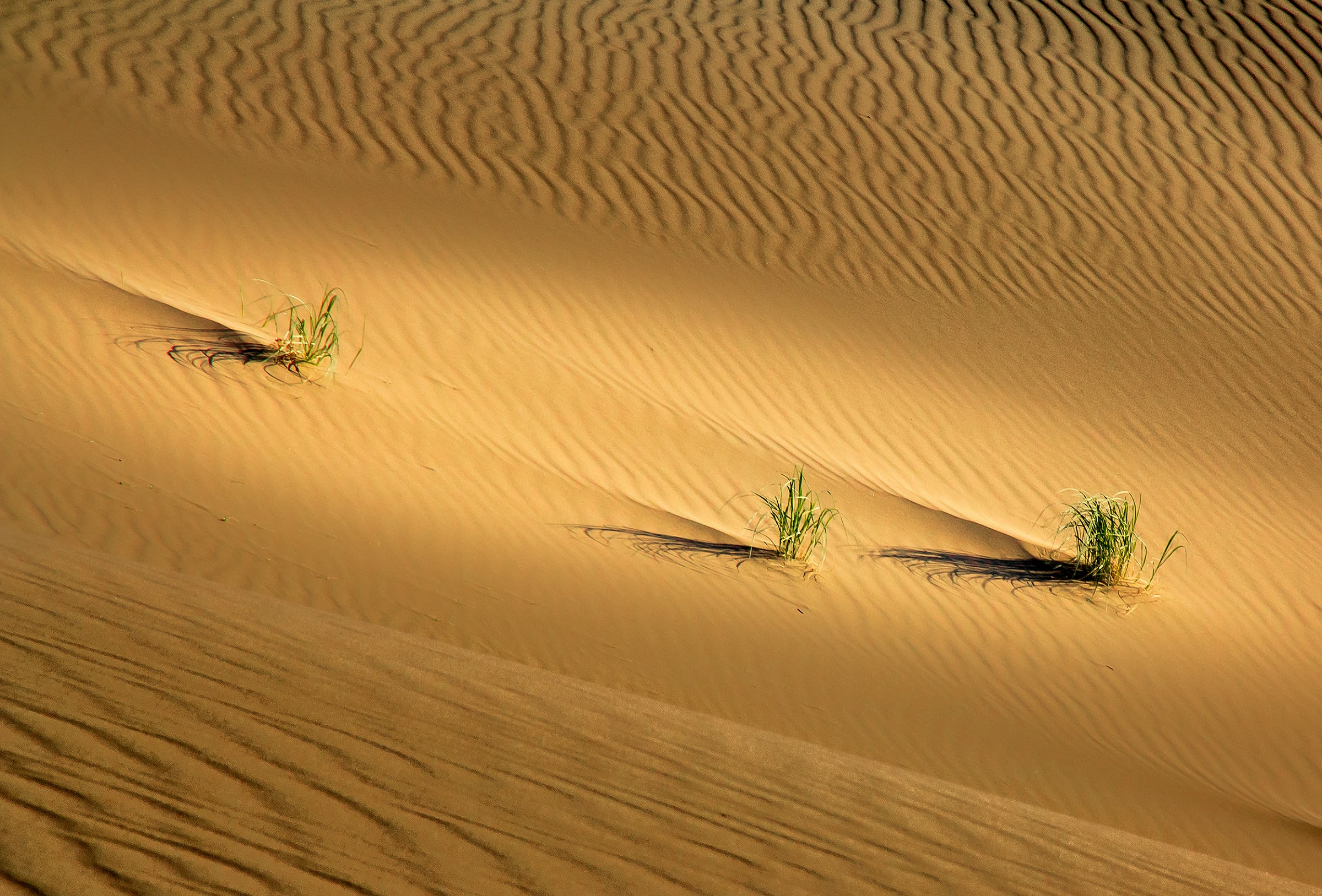 La vita è in diretta