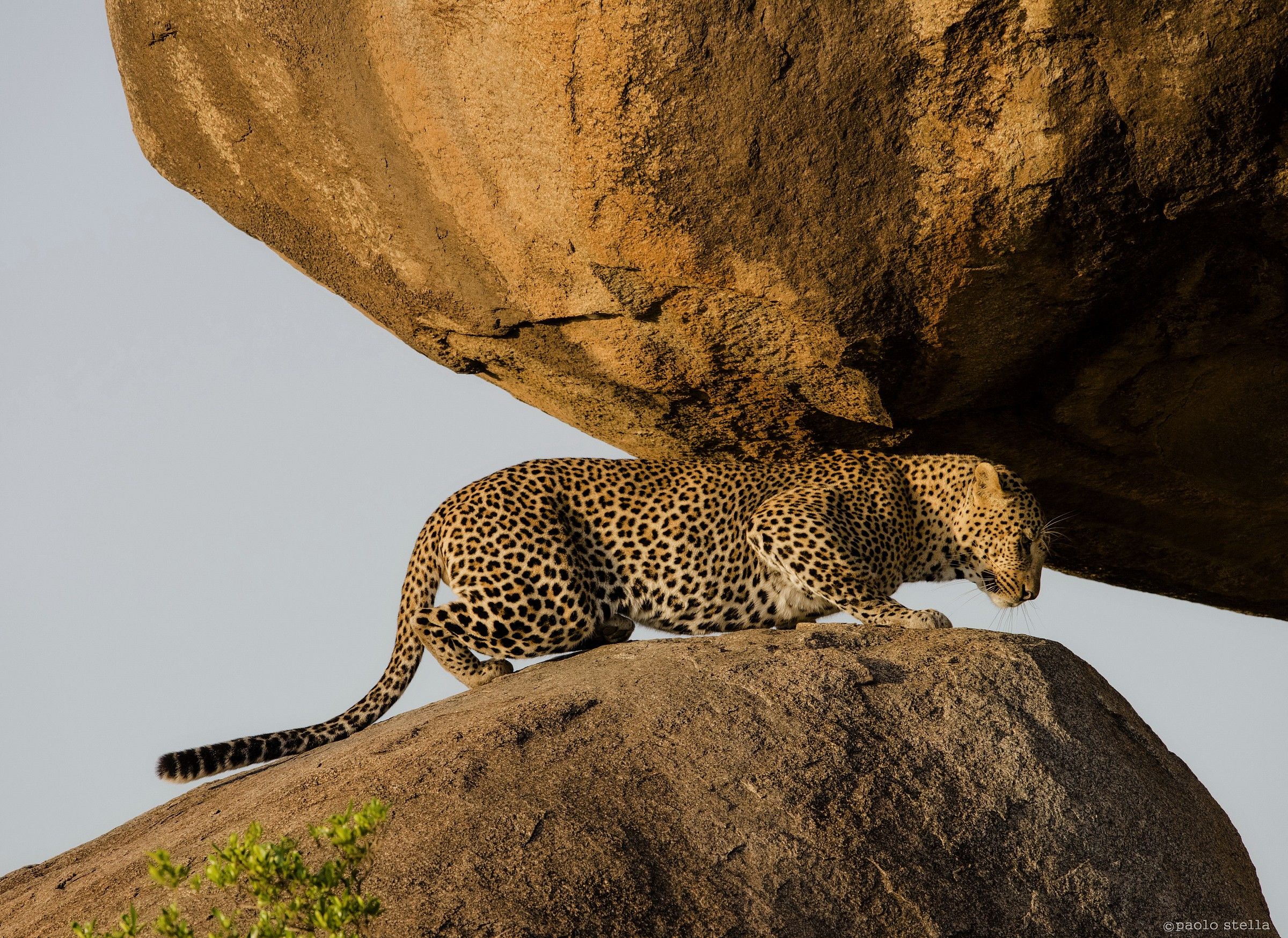 wherever you are ...