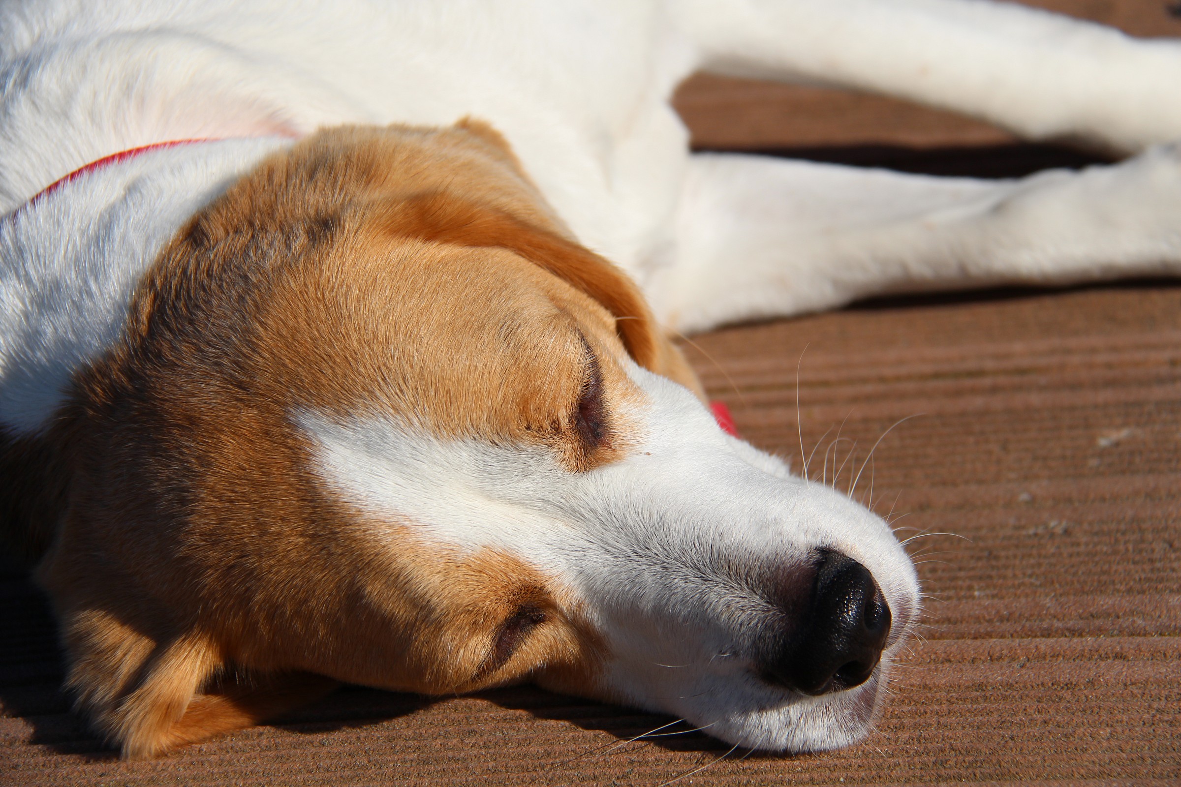 I stretch out a little here, a little, slowly