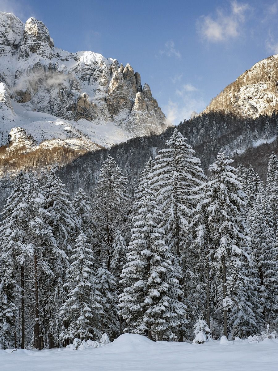 Val Saisera - Alpi Giulie