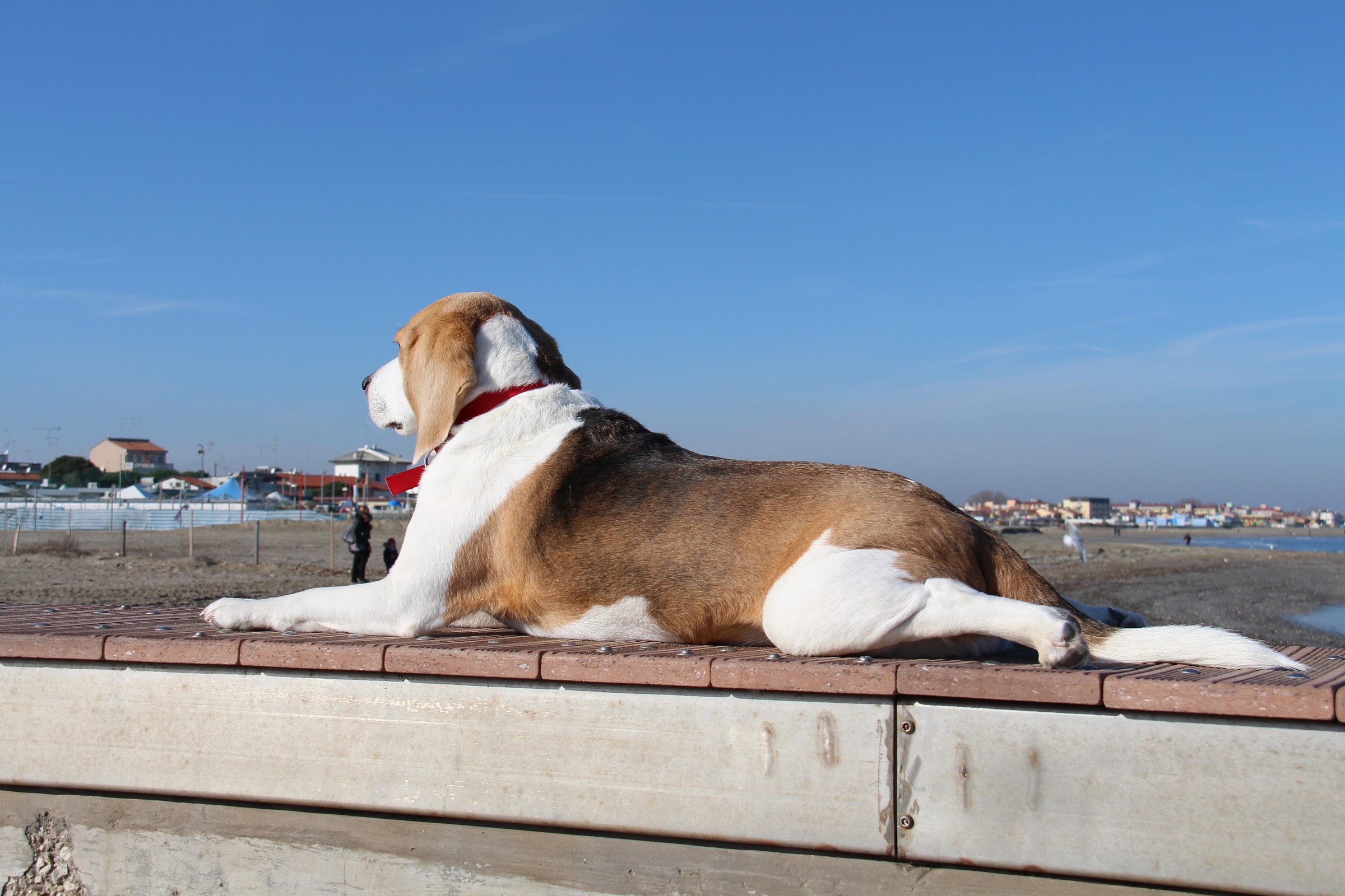 While someone plays the photographer I observe and meditate