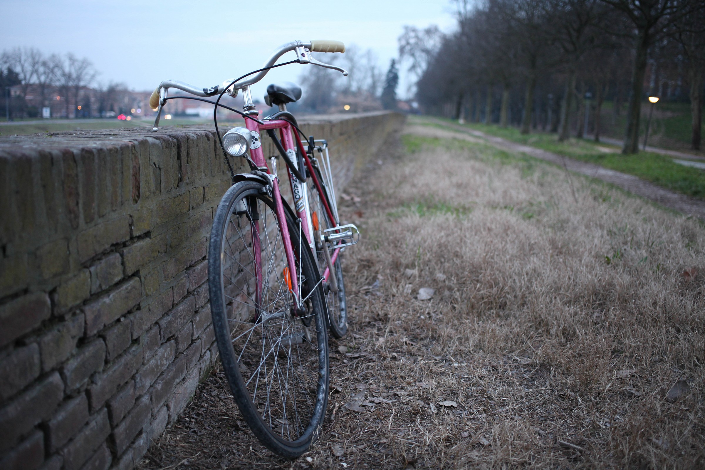Il mio mezzo nella città delle biciclette