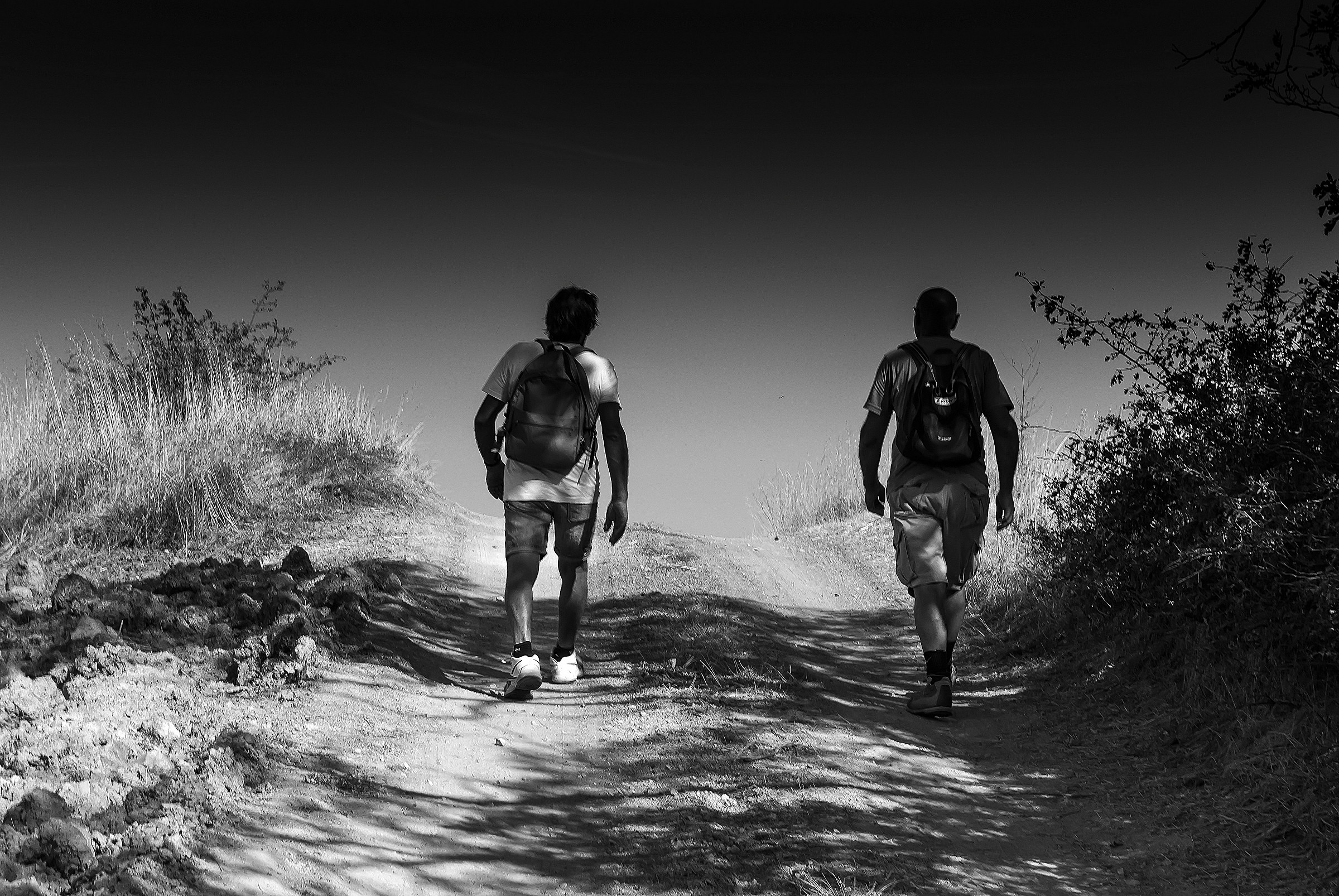 Oltre la collina.L'infinito?????