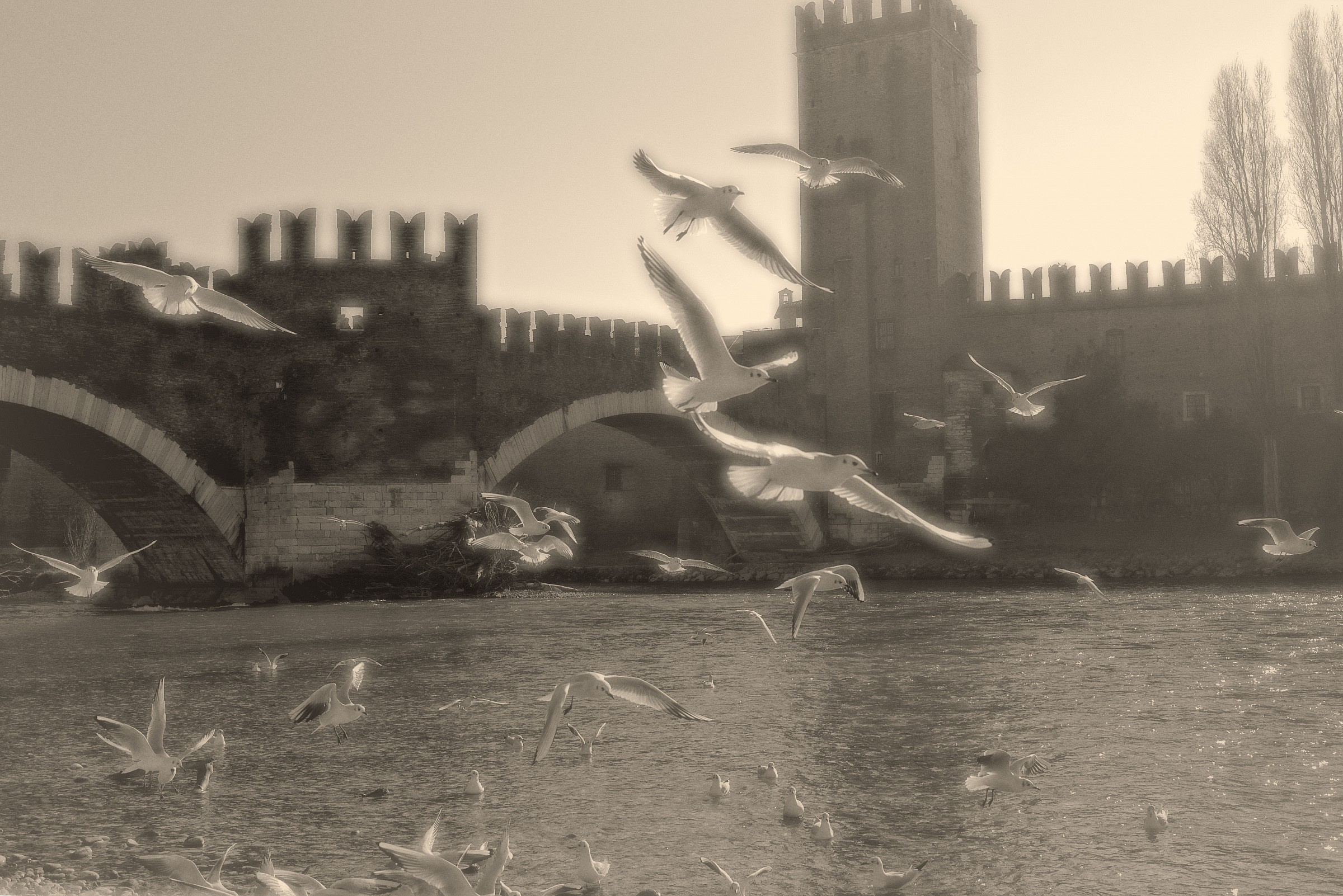 Castelvecchio Bridge