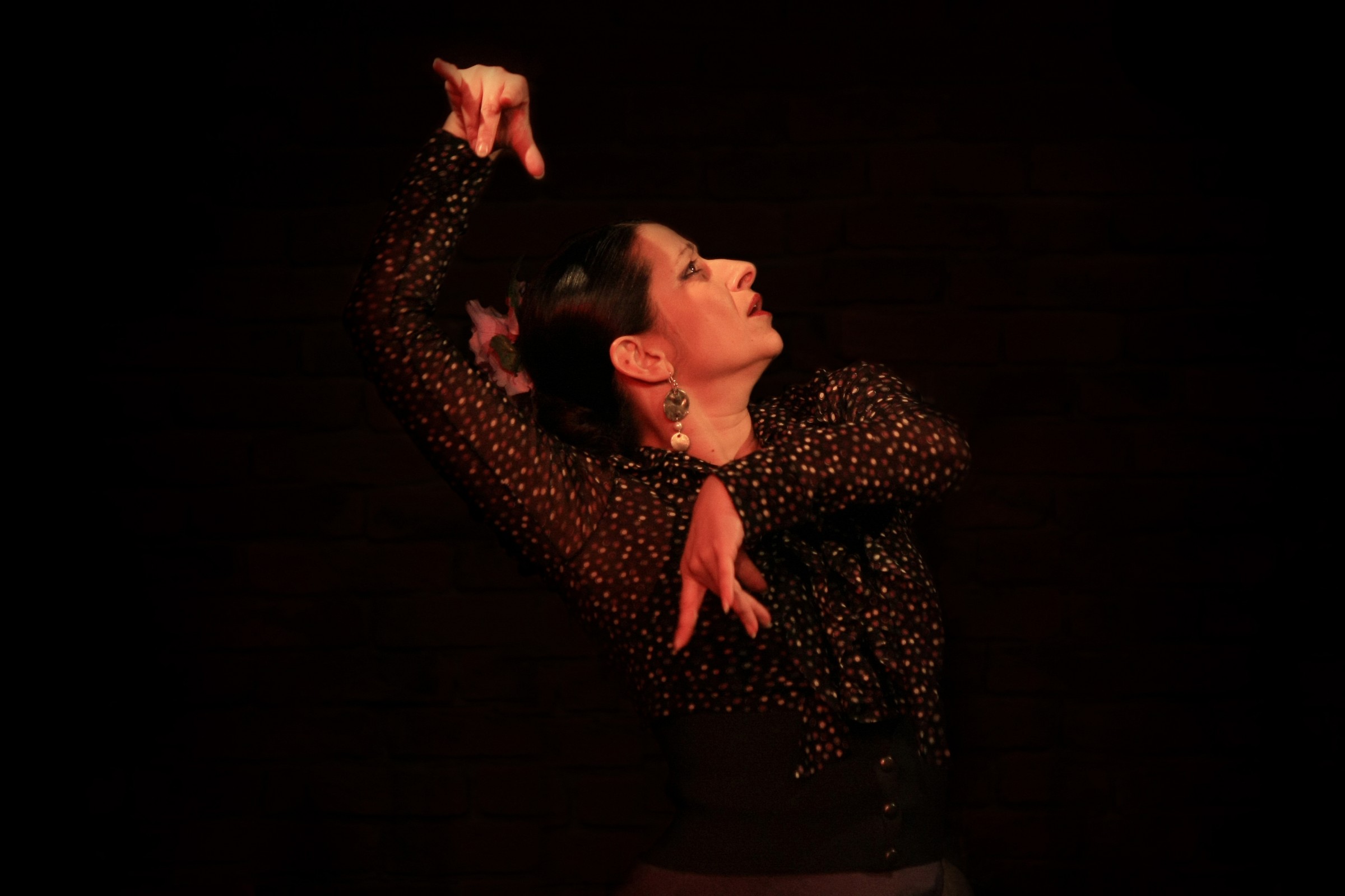 Flamenco Marta Roverato