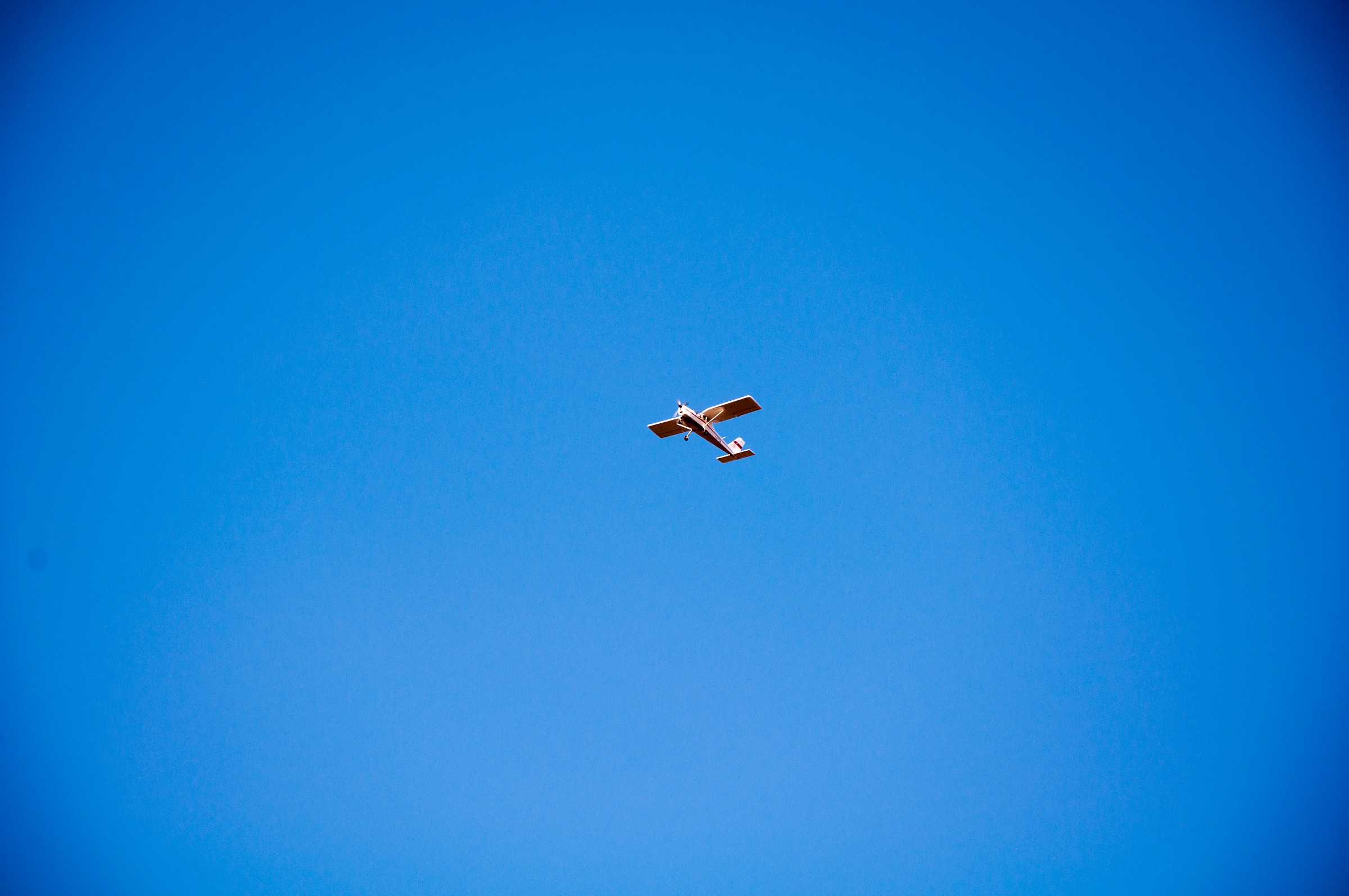 someone is watching us from up there ....