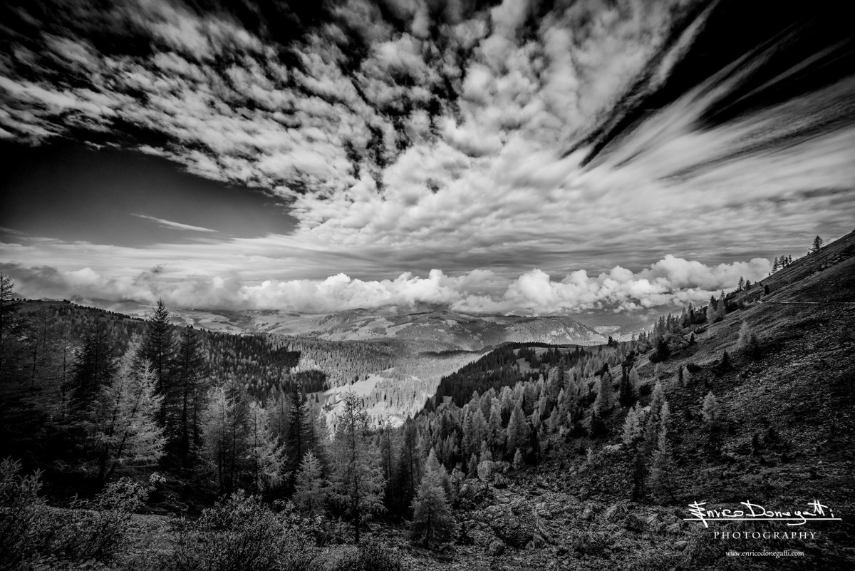 La Forza della Quiete