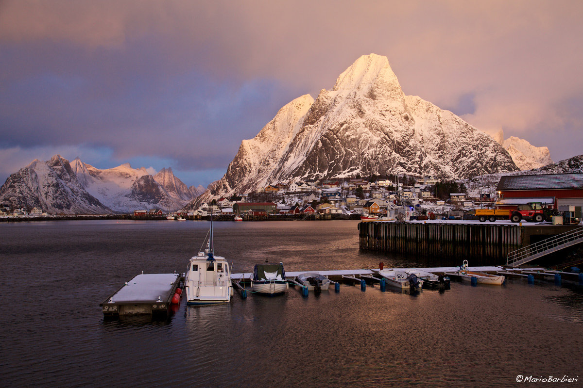 Reine