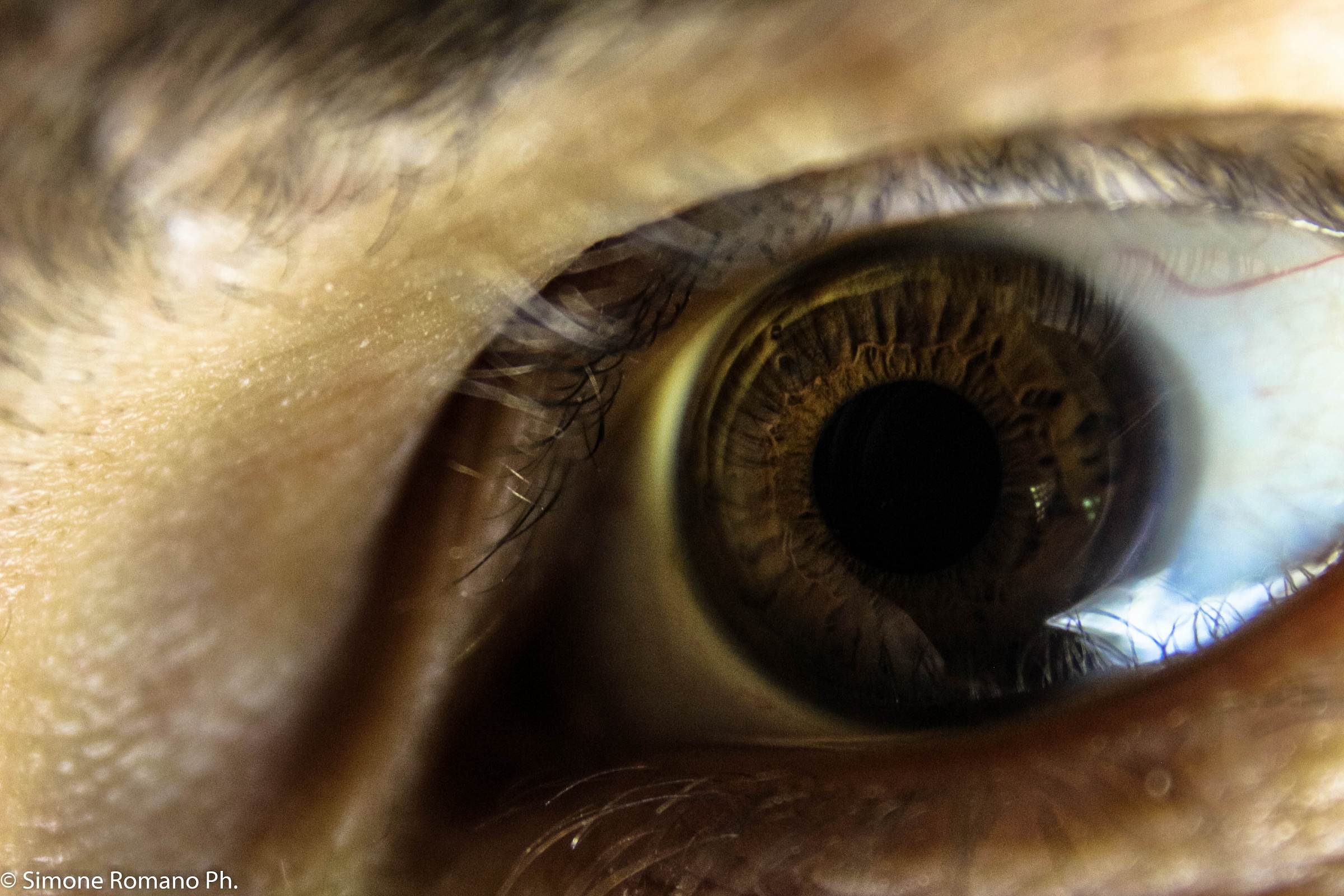 L'occhio del fotografo