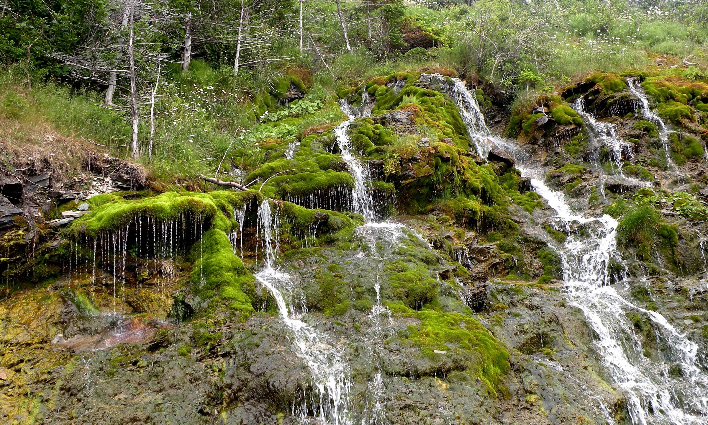Muschio e cascatelle in riva al mare