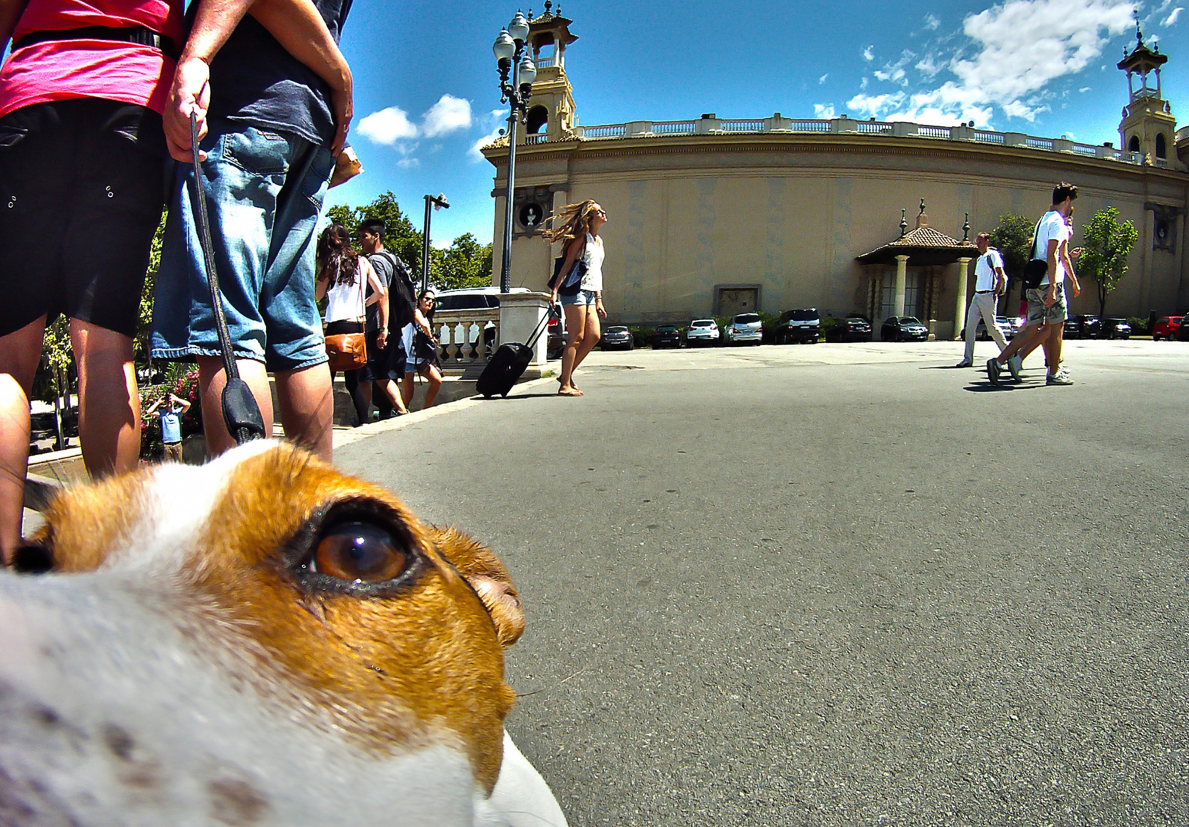 Purpuri di elementi a Barcellona