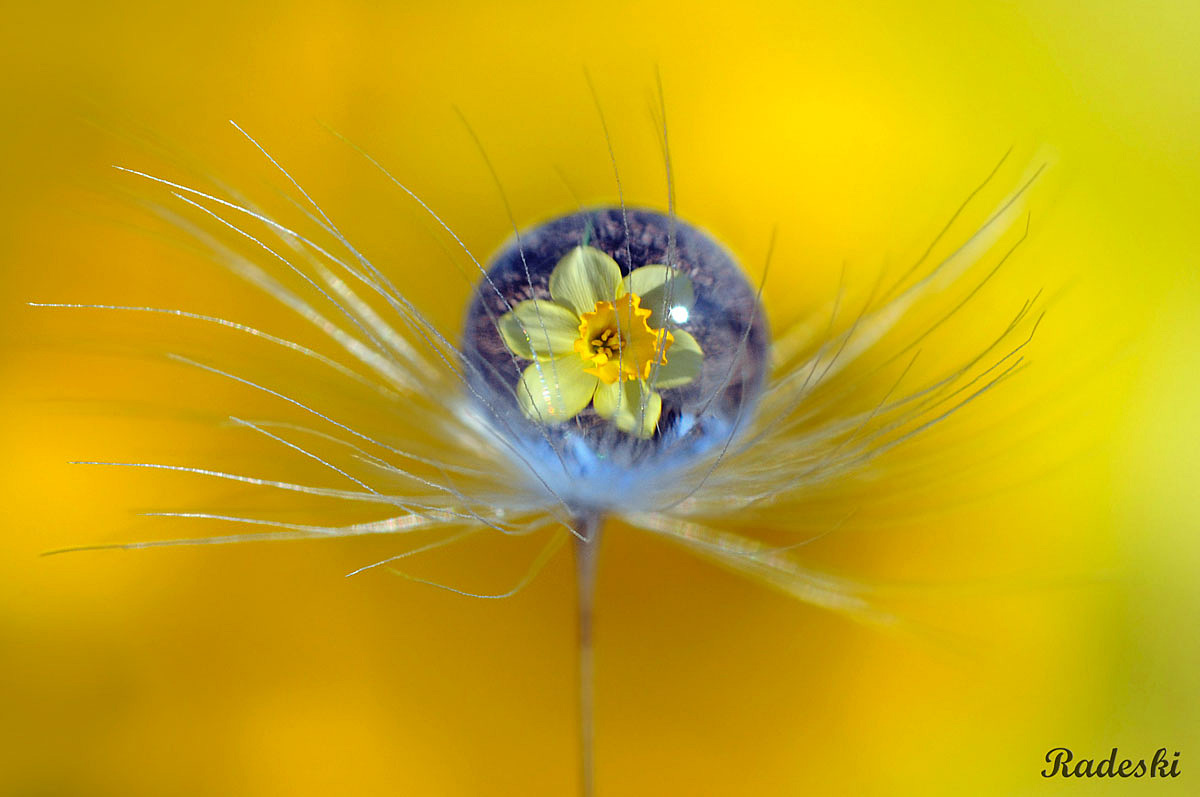 Gocciolina sul soffione