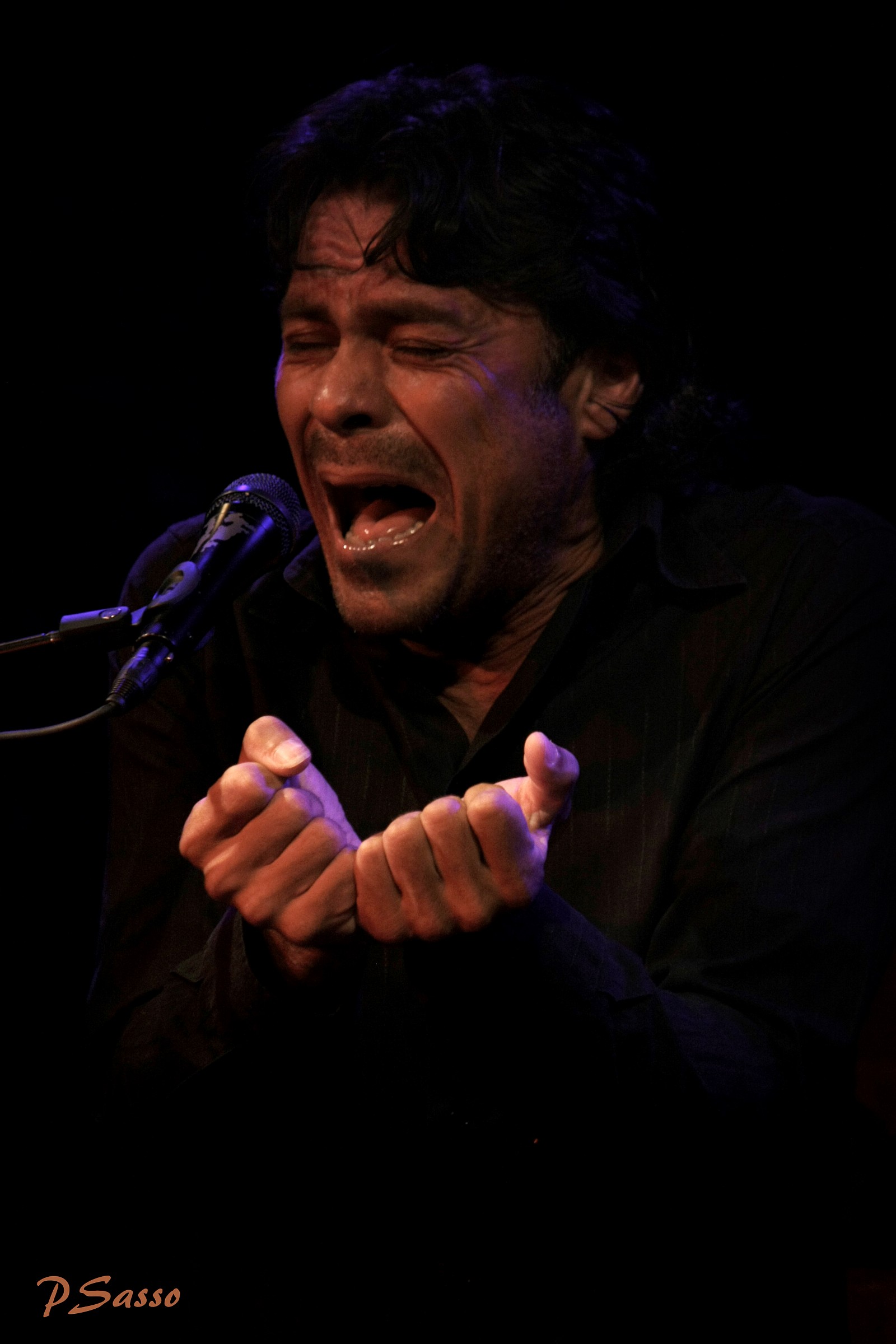 Flamenco Jose Salguero