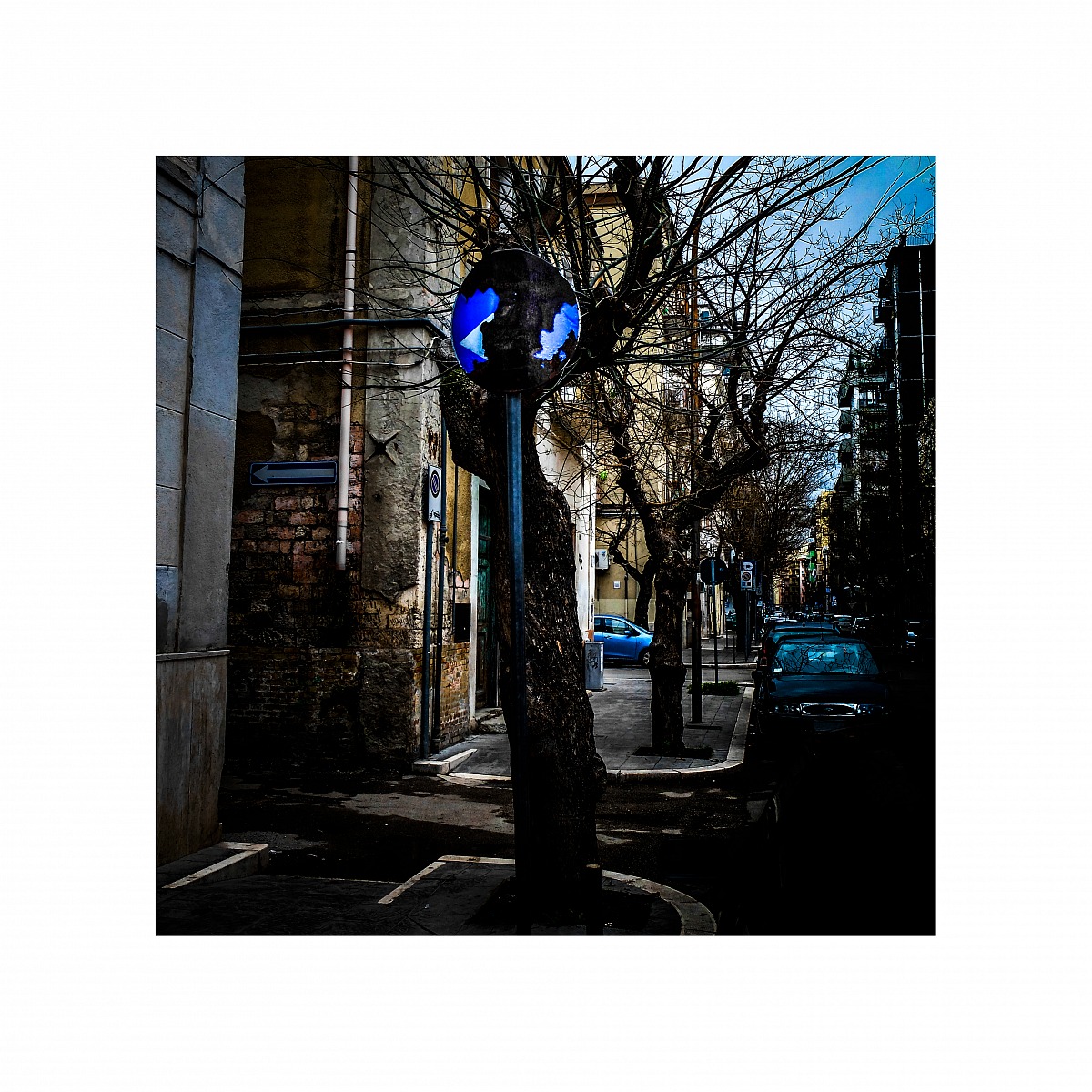 Tree, I would be like you