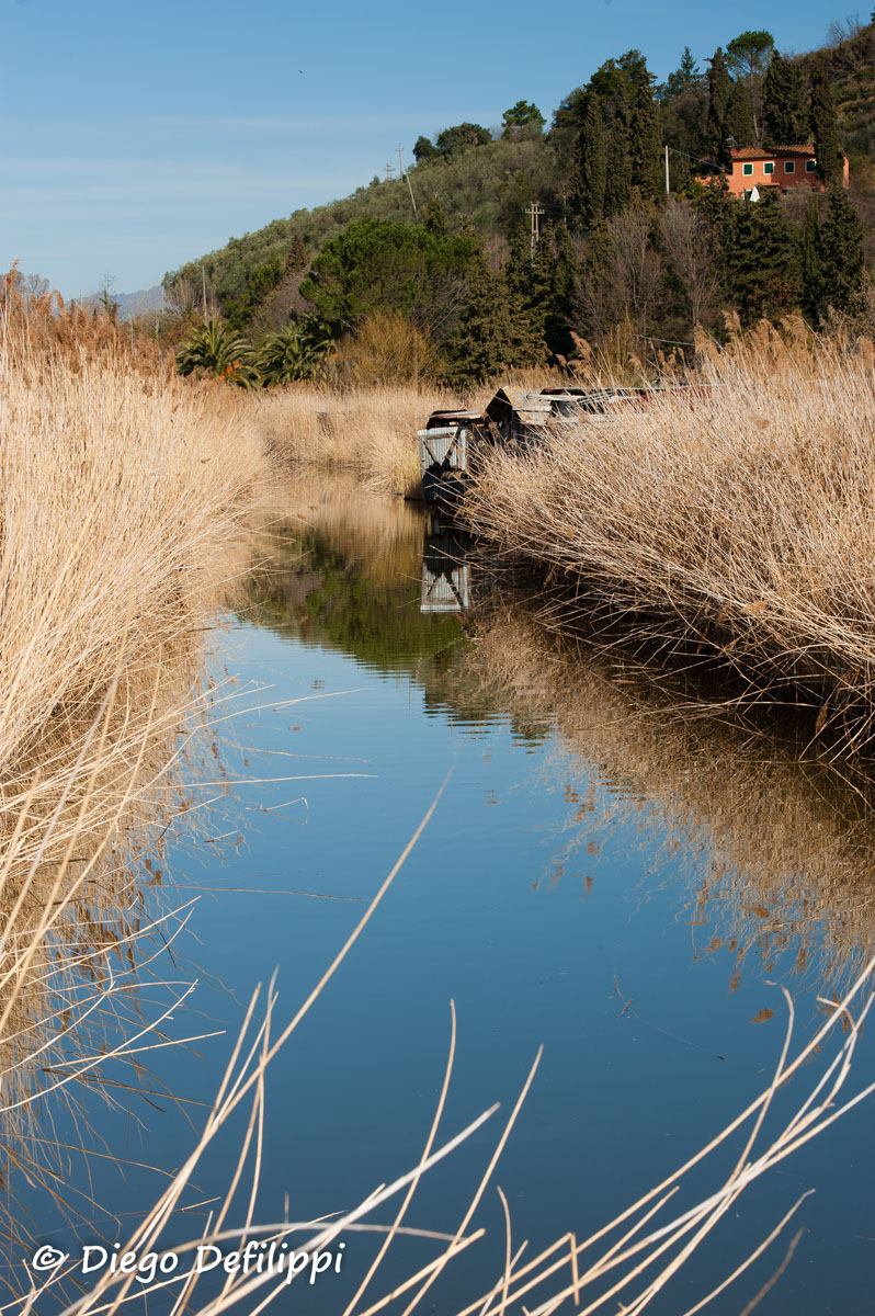 Canale e Canneto
