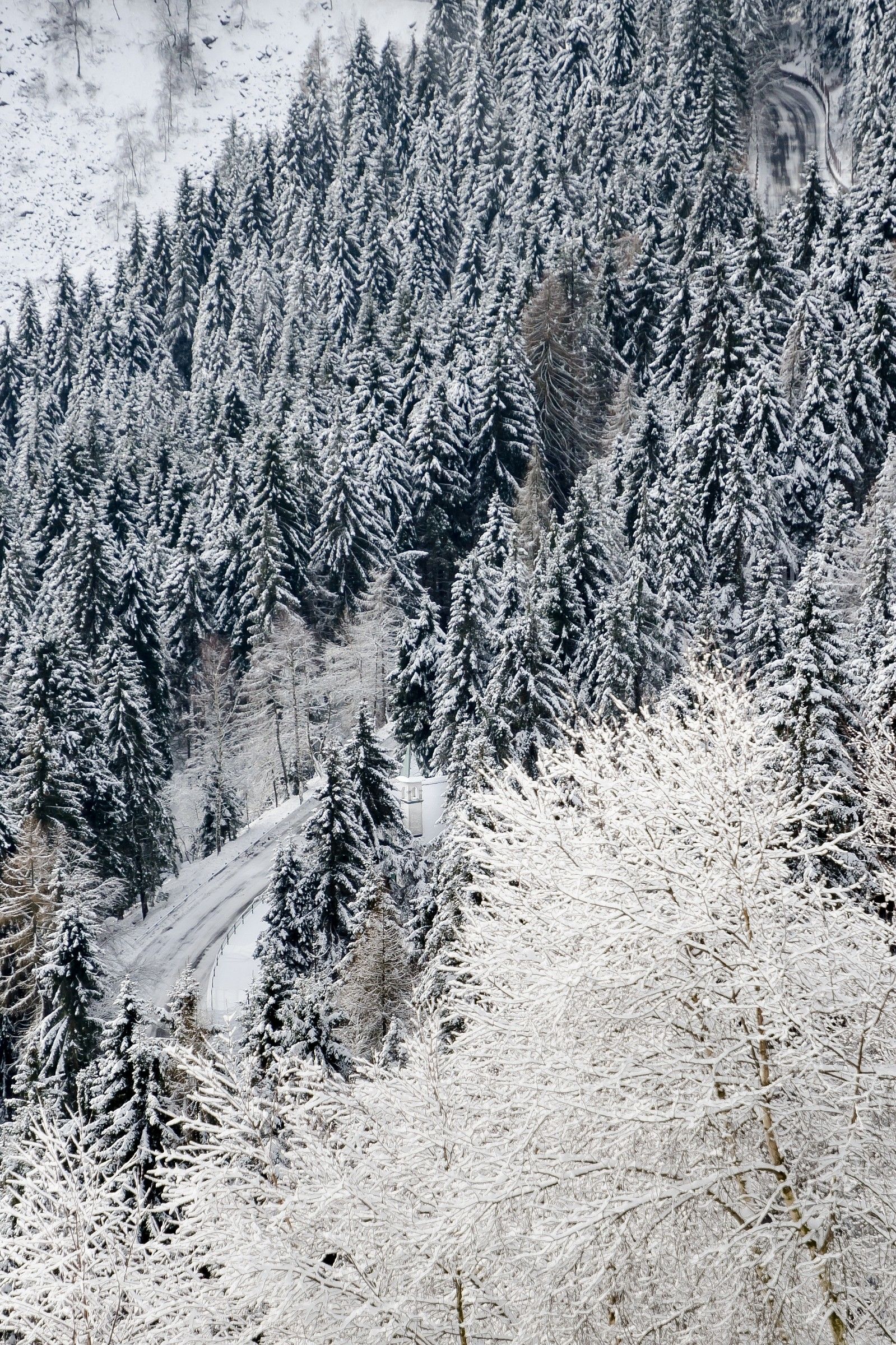 Prima neve, dopo tanta attesa
