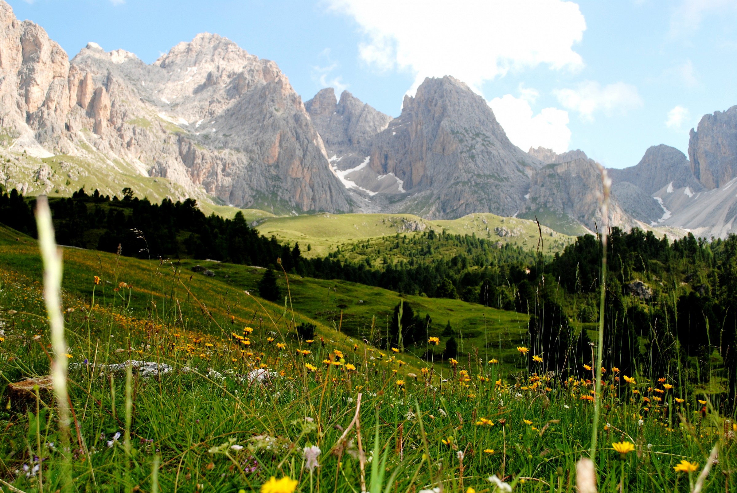 alpe de siusi