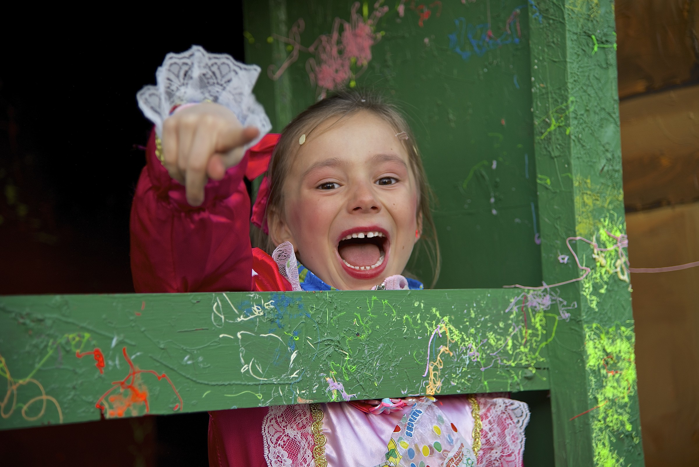 Dal carro di carnevale...