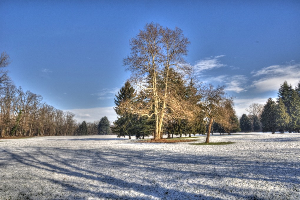 Una spolverata di bianco