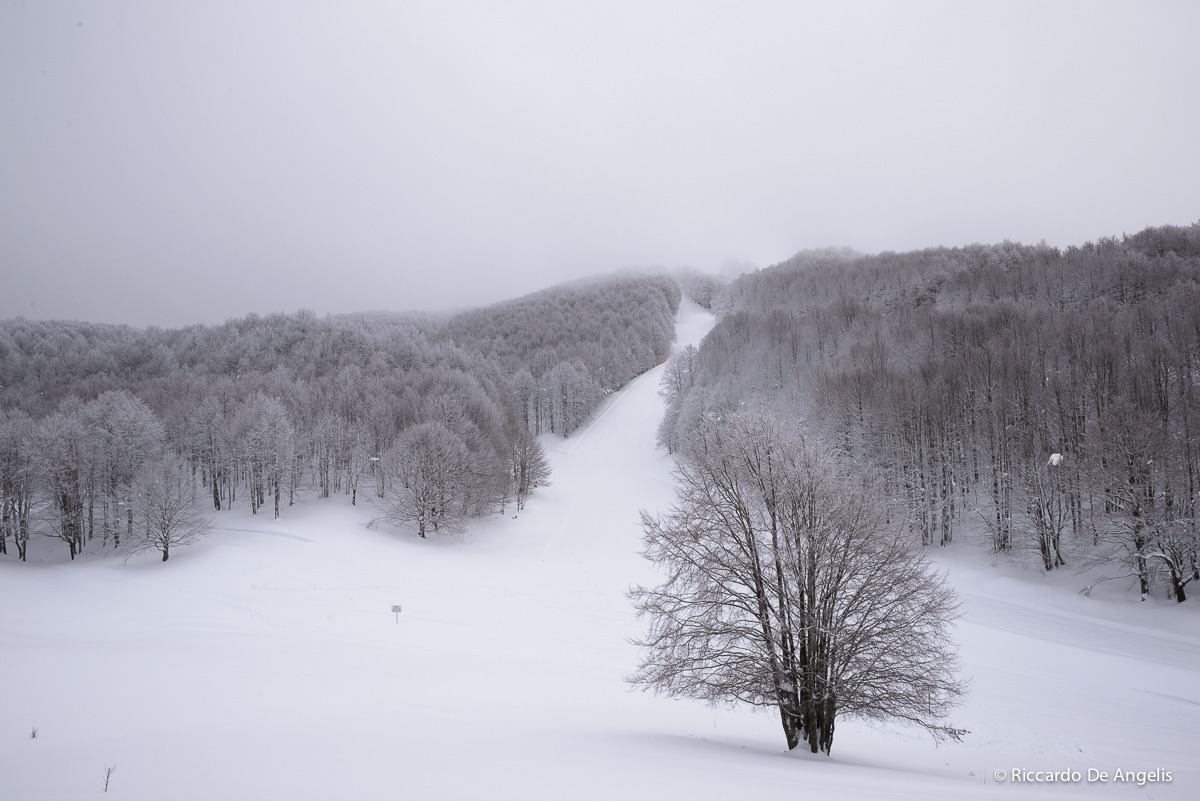 Snowshoeing Monte Livata