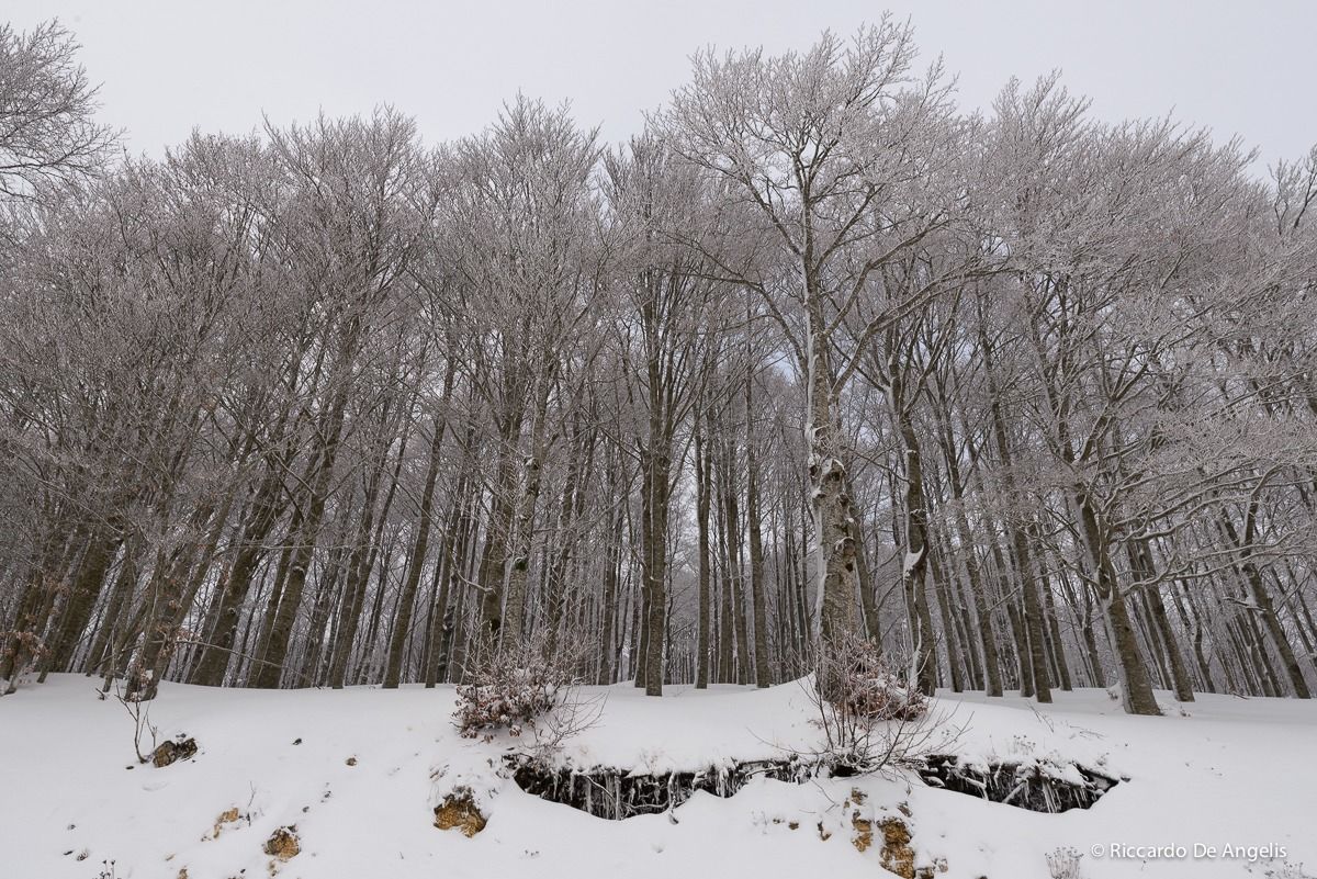 Snowshoeing Monte Livata