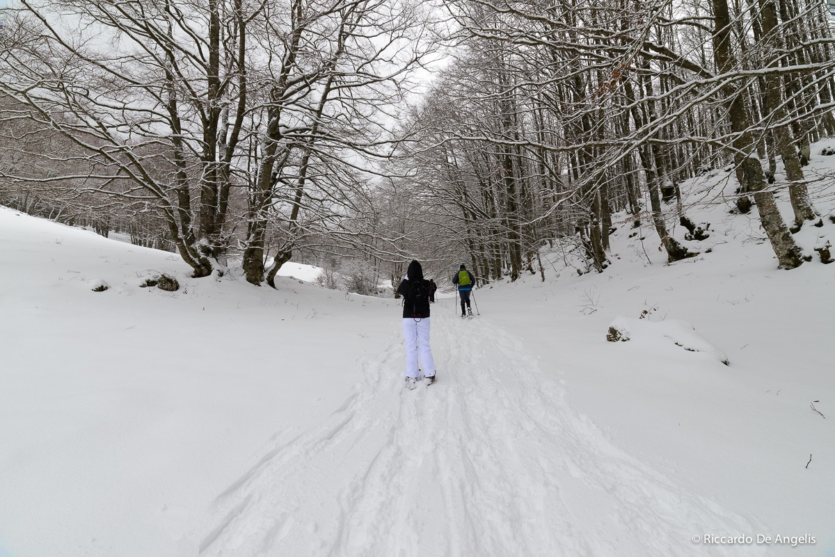 Snowshoeing Monte Livata