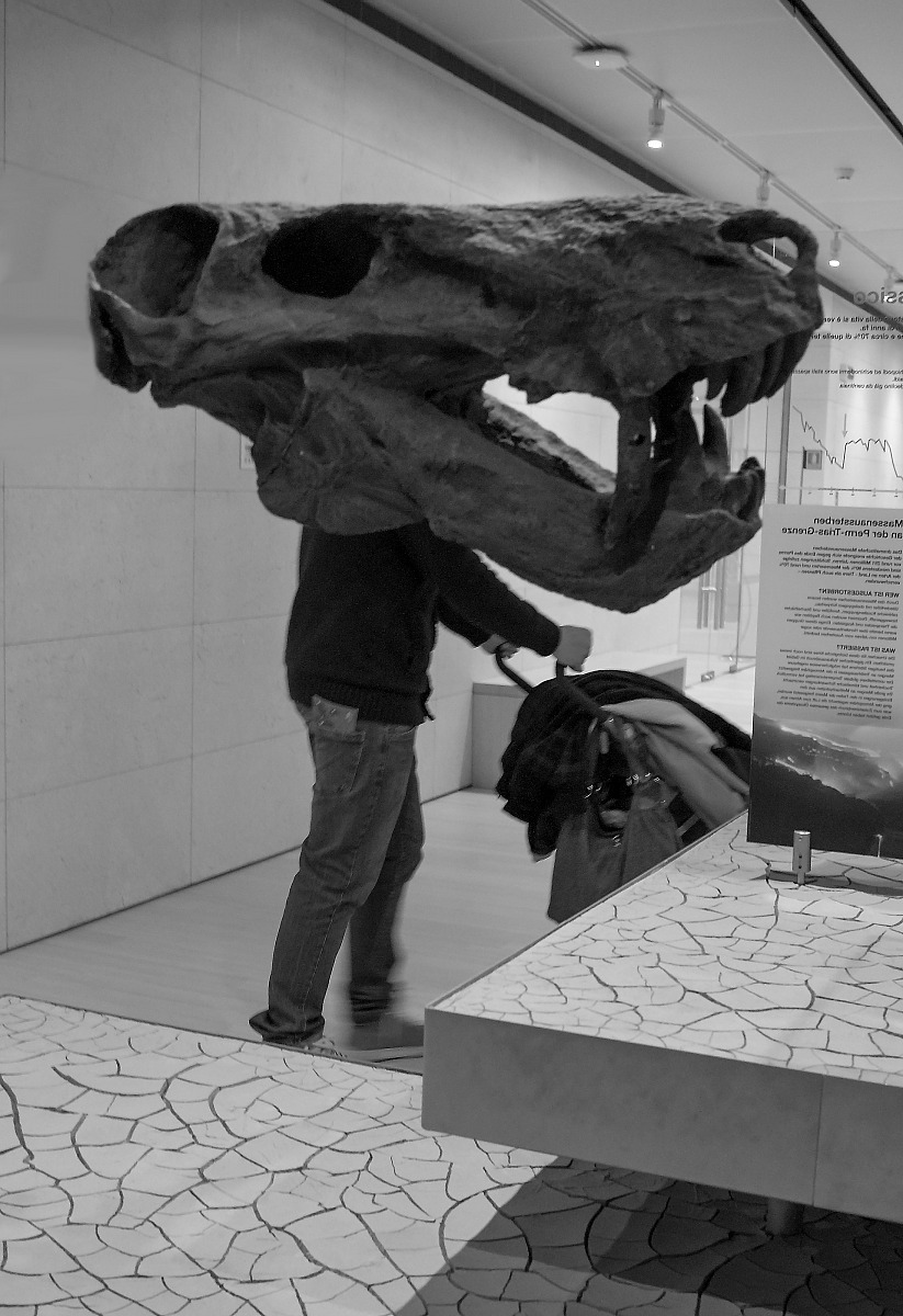 Oggi mi sento la testa pesante....