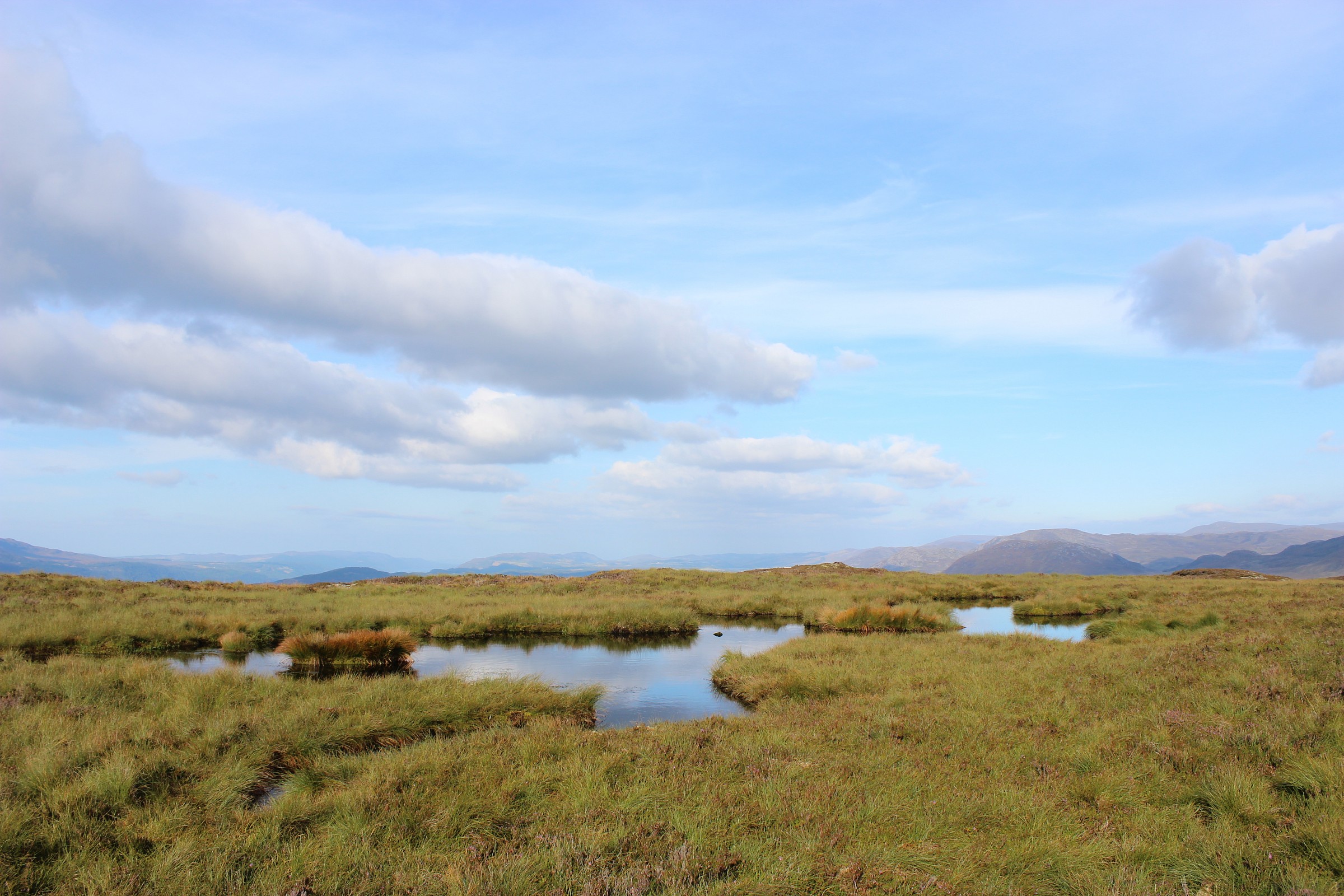 Little Scottish Puddle