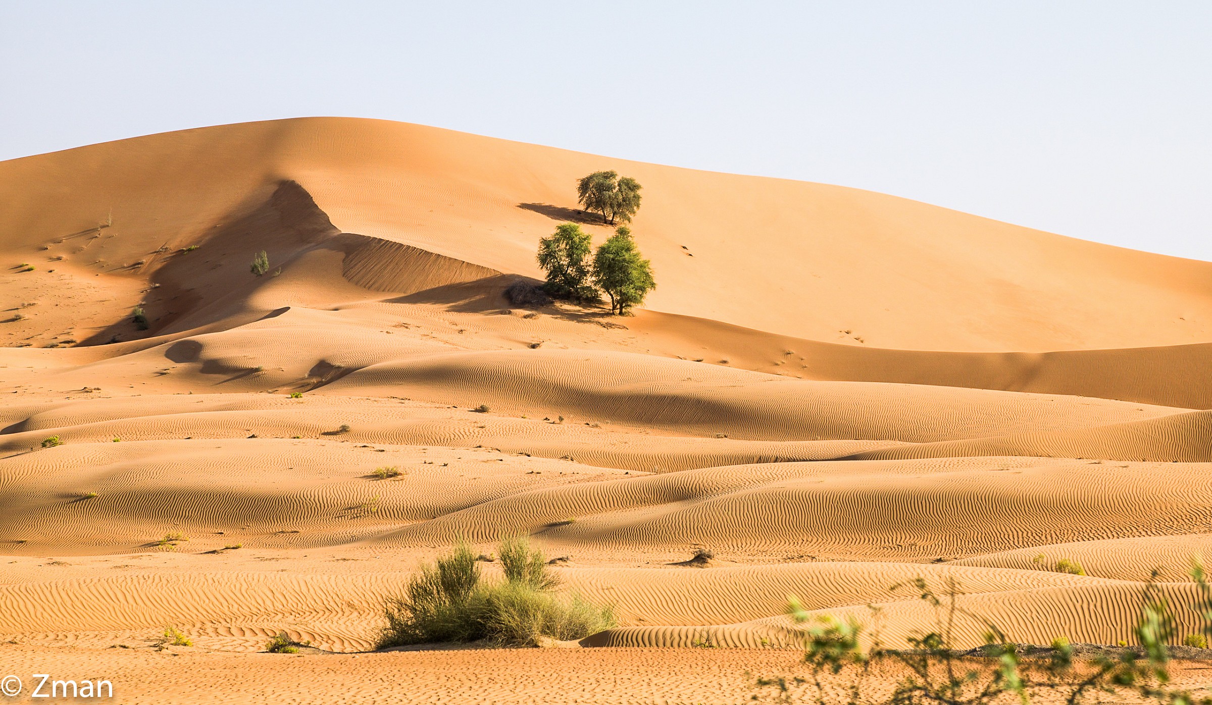 La bellezza del deserto