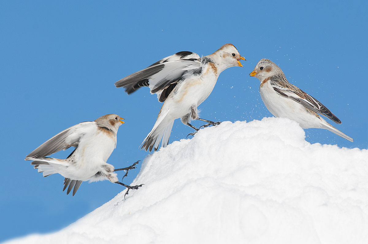 Quarrel between relatives ...