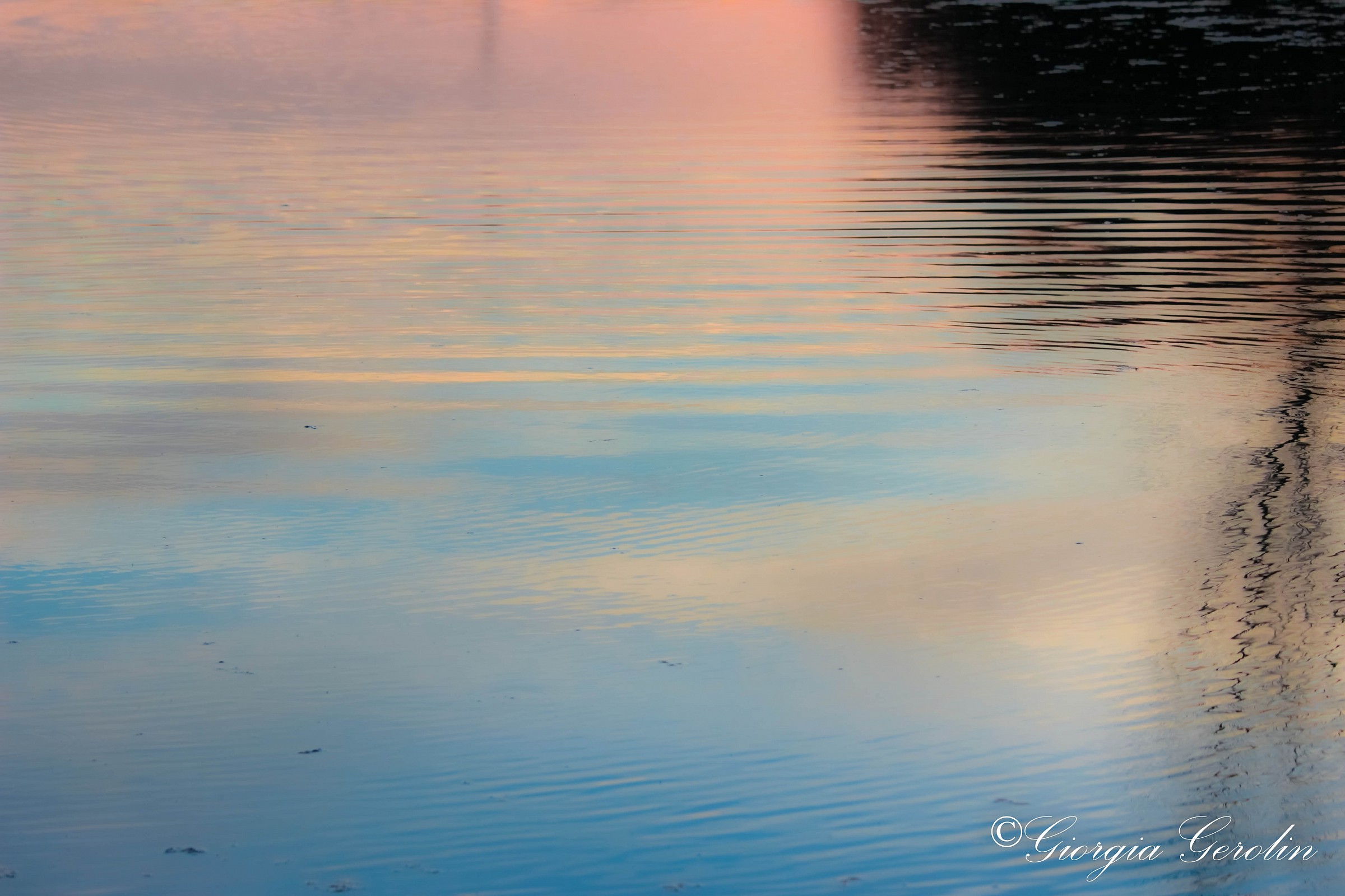 Specchio delle mie brame