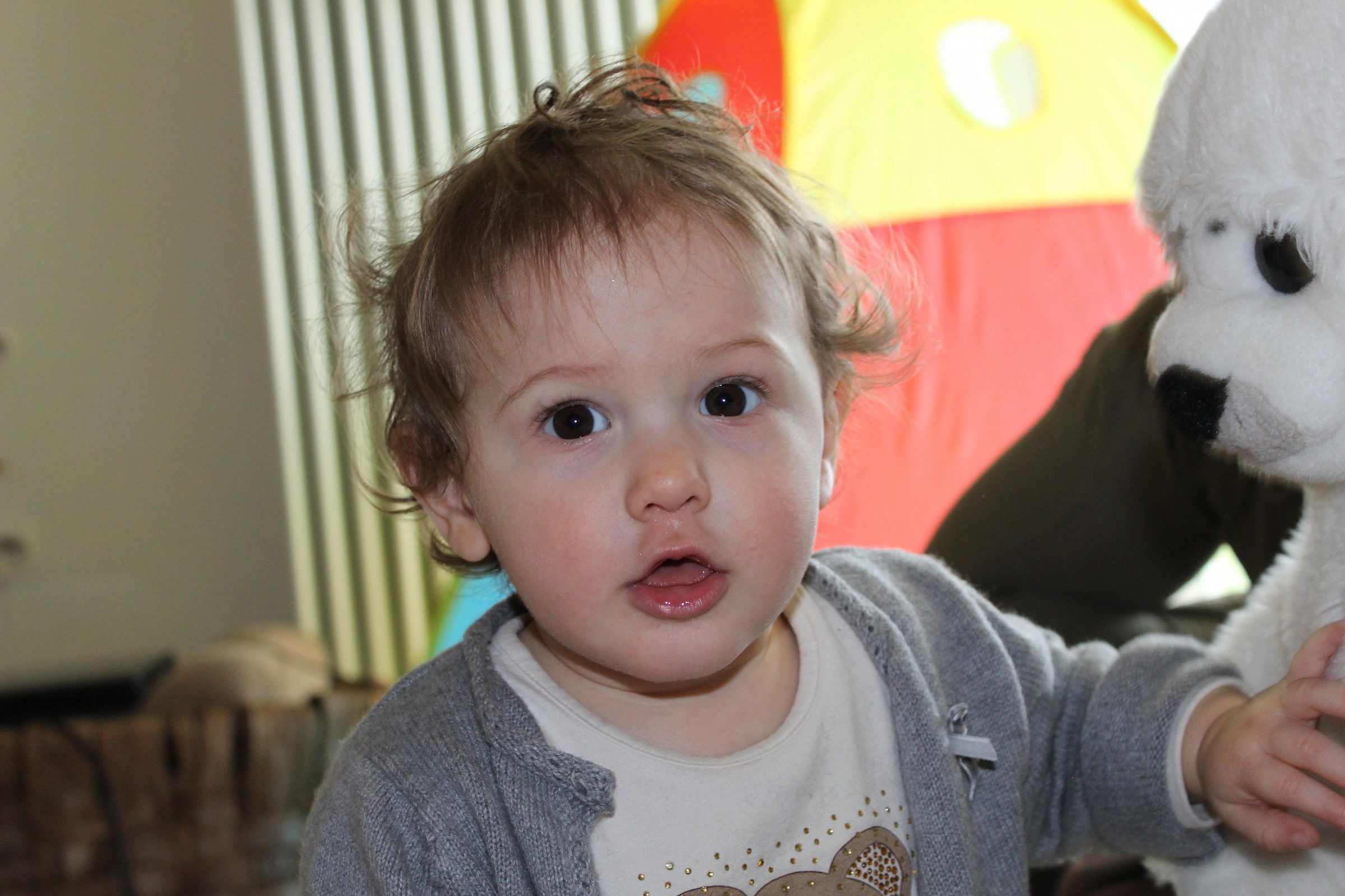 Oggi ho compiuto 1 anno...