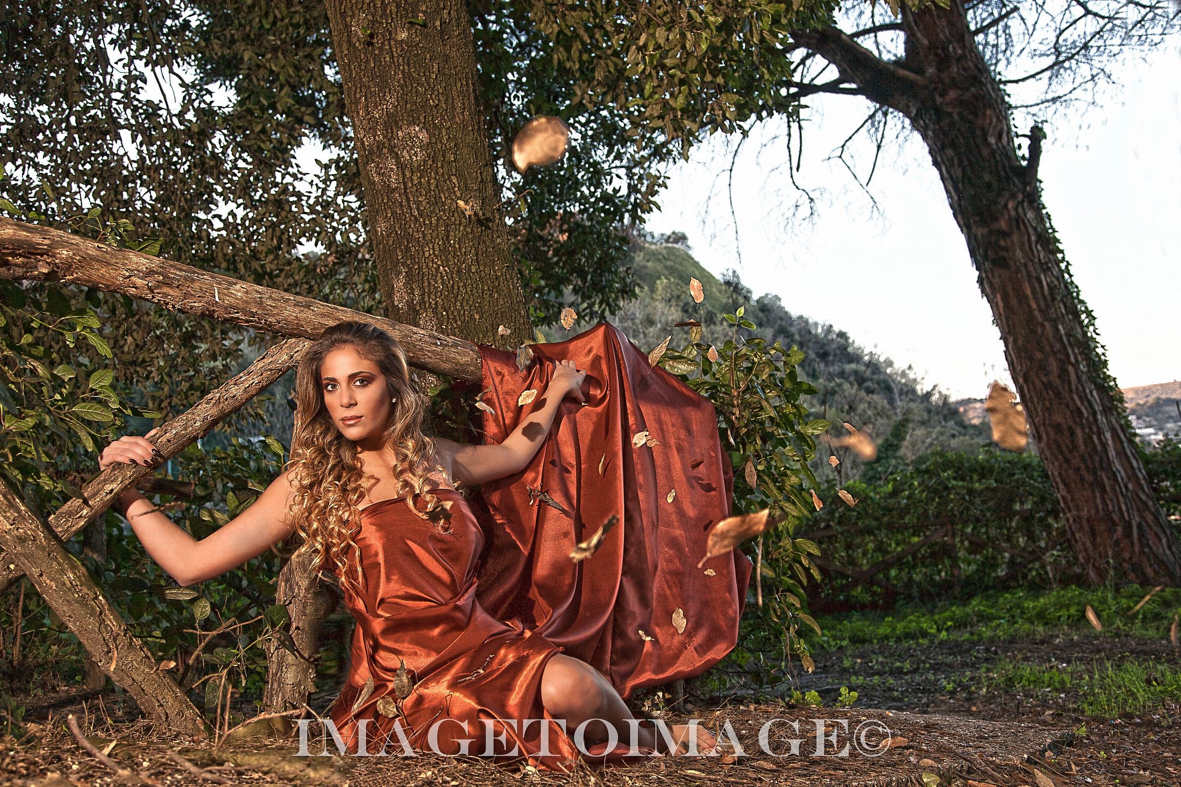 The charme of autumn