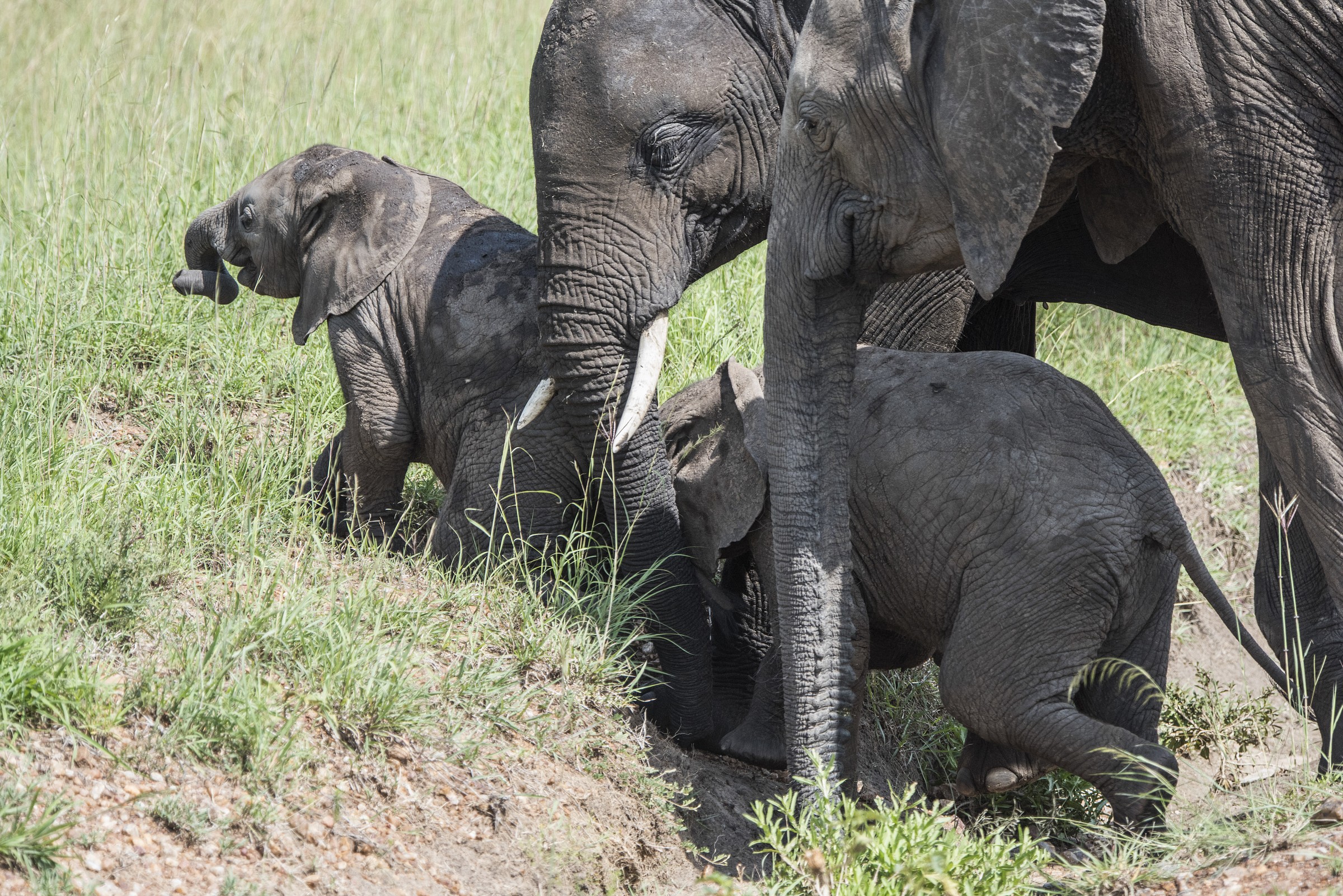 Una Piccola Spinta?  ..grazie..