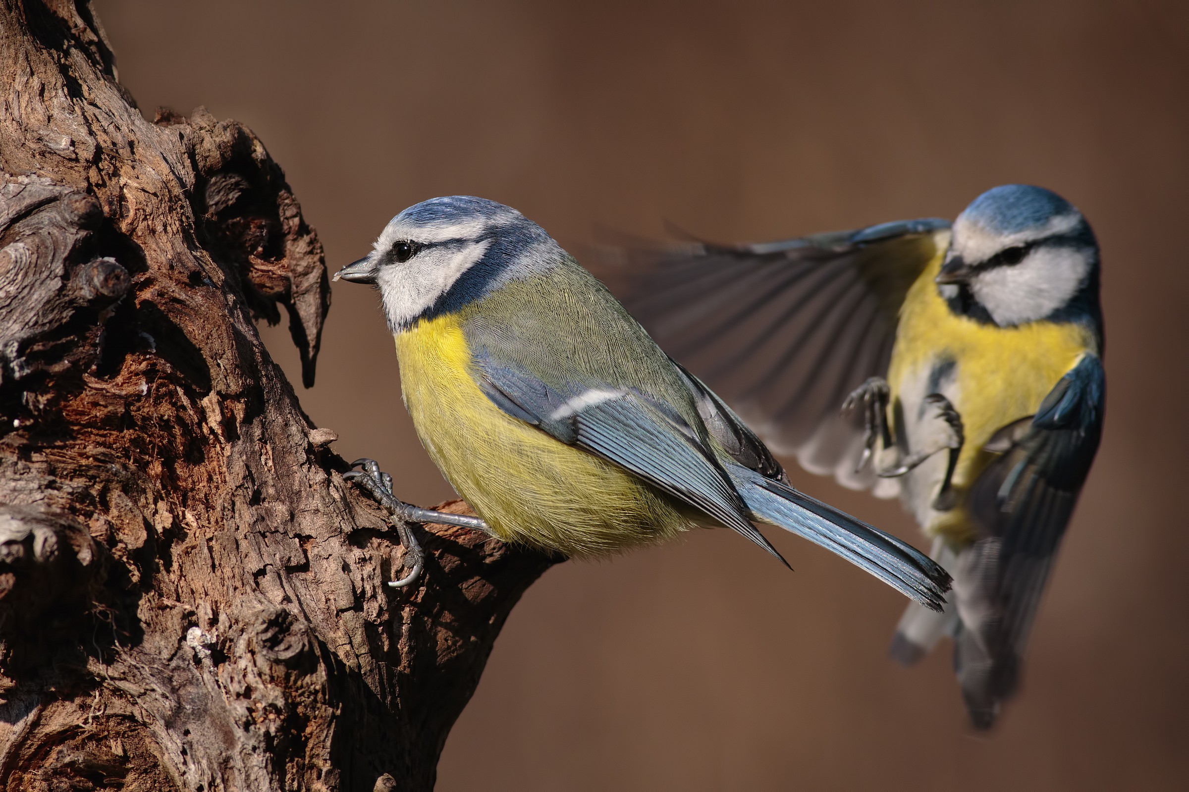 Attacco alle spalle..!!