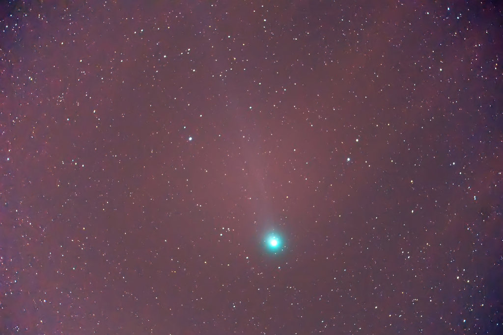 Cometa Lovejoy il 20/01/15